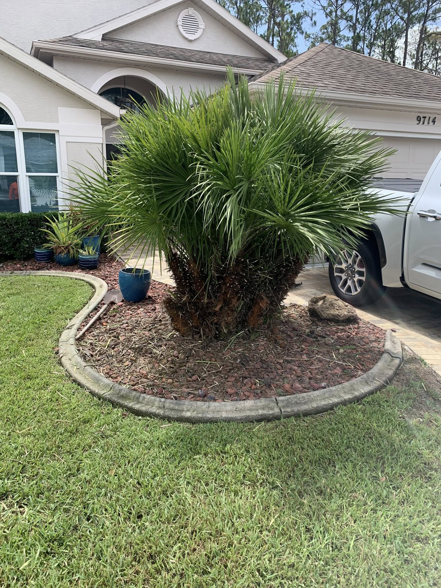  for Mitchell Lawn Service in Odessa, FL