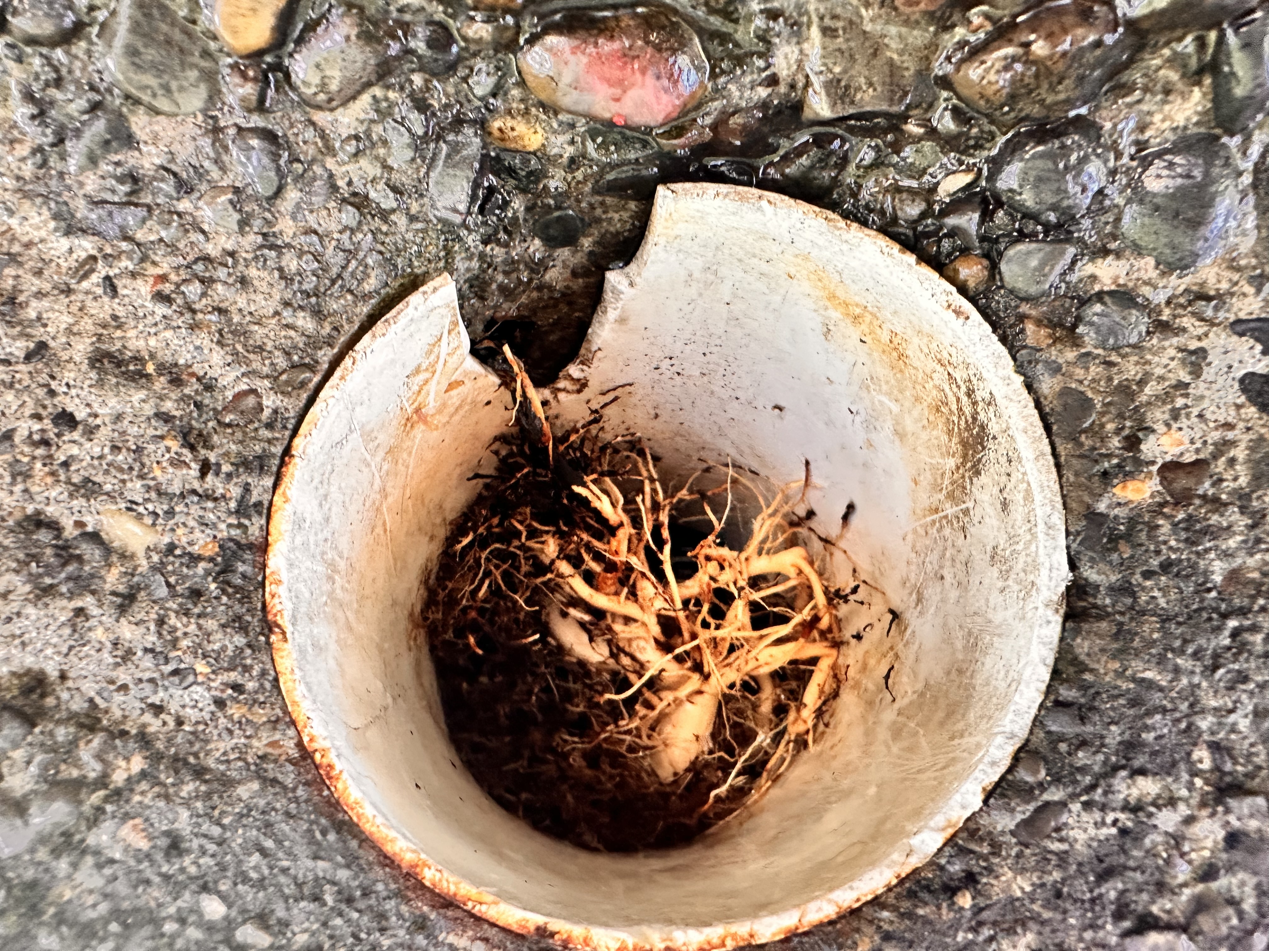  for Mountain View Services in Sandy, OR