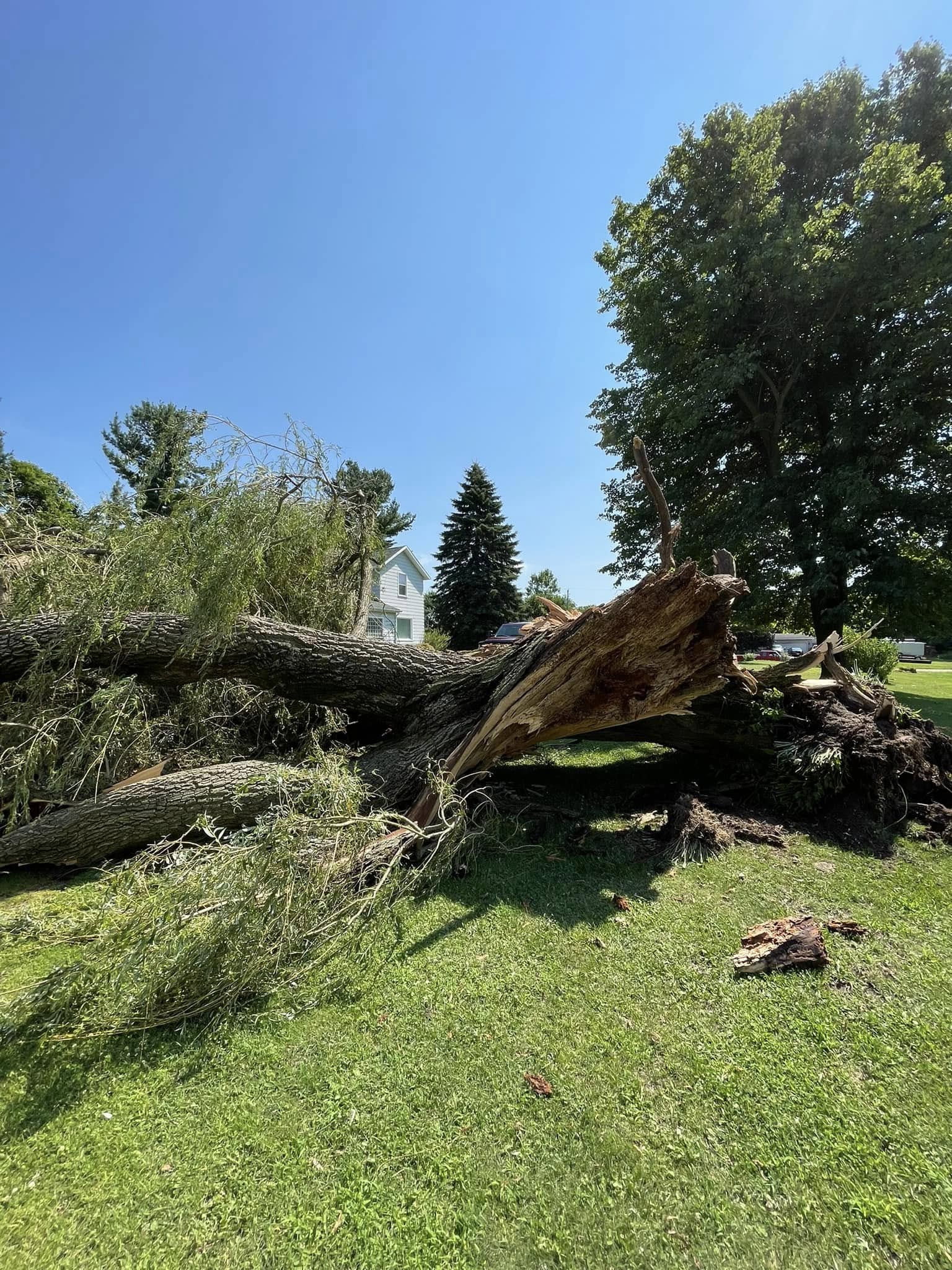  for God's Country Timber Management in Hillsdale, MI