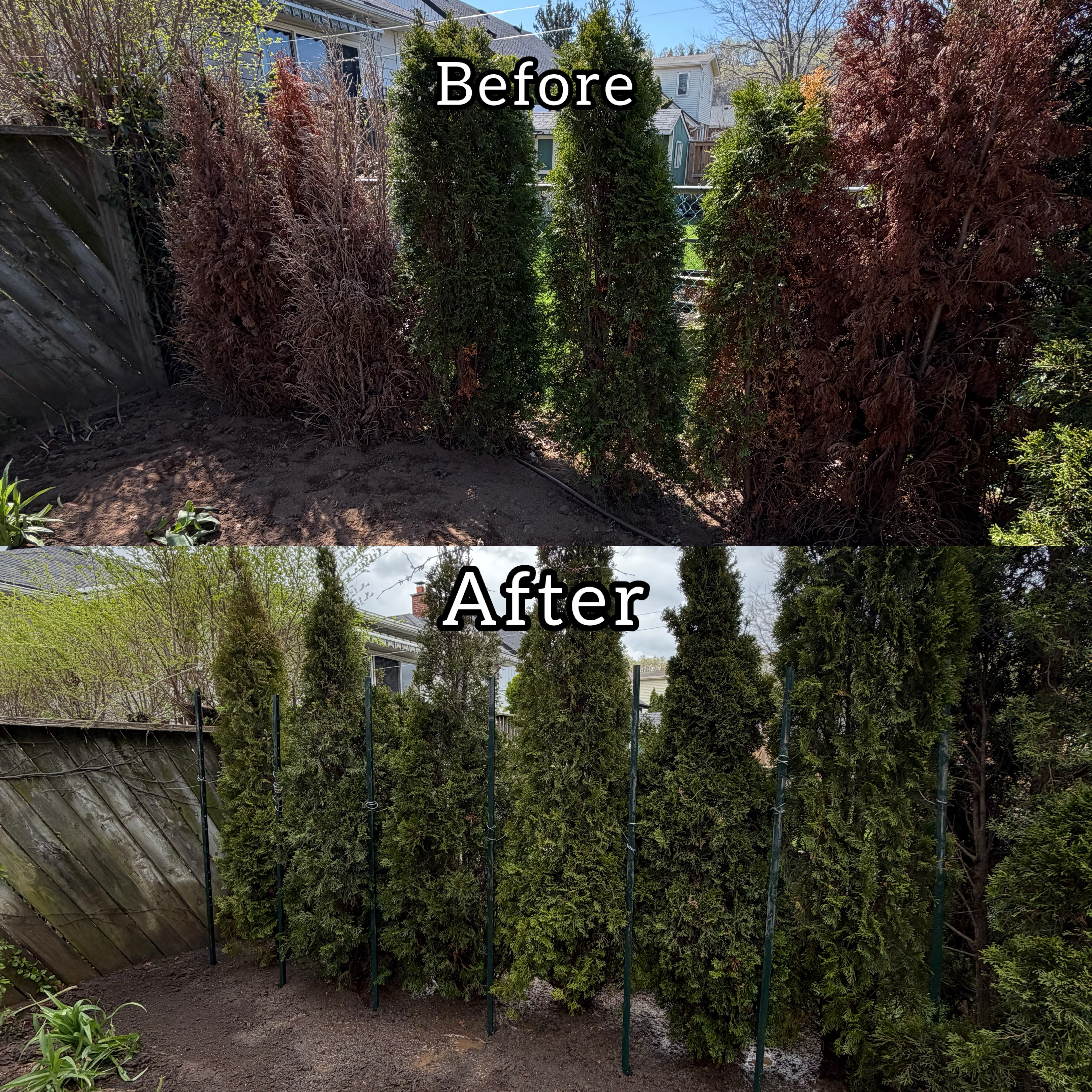  for CMN Exterior Maintenance in Hamilton, ON