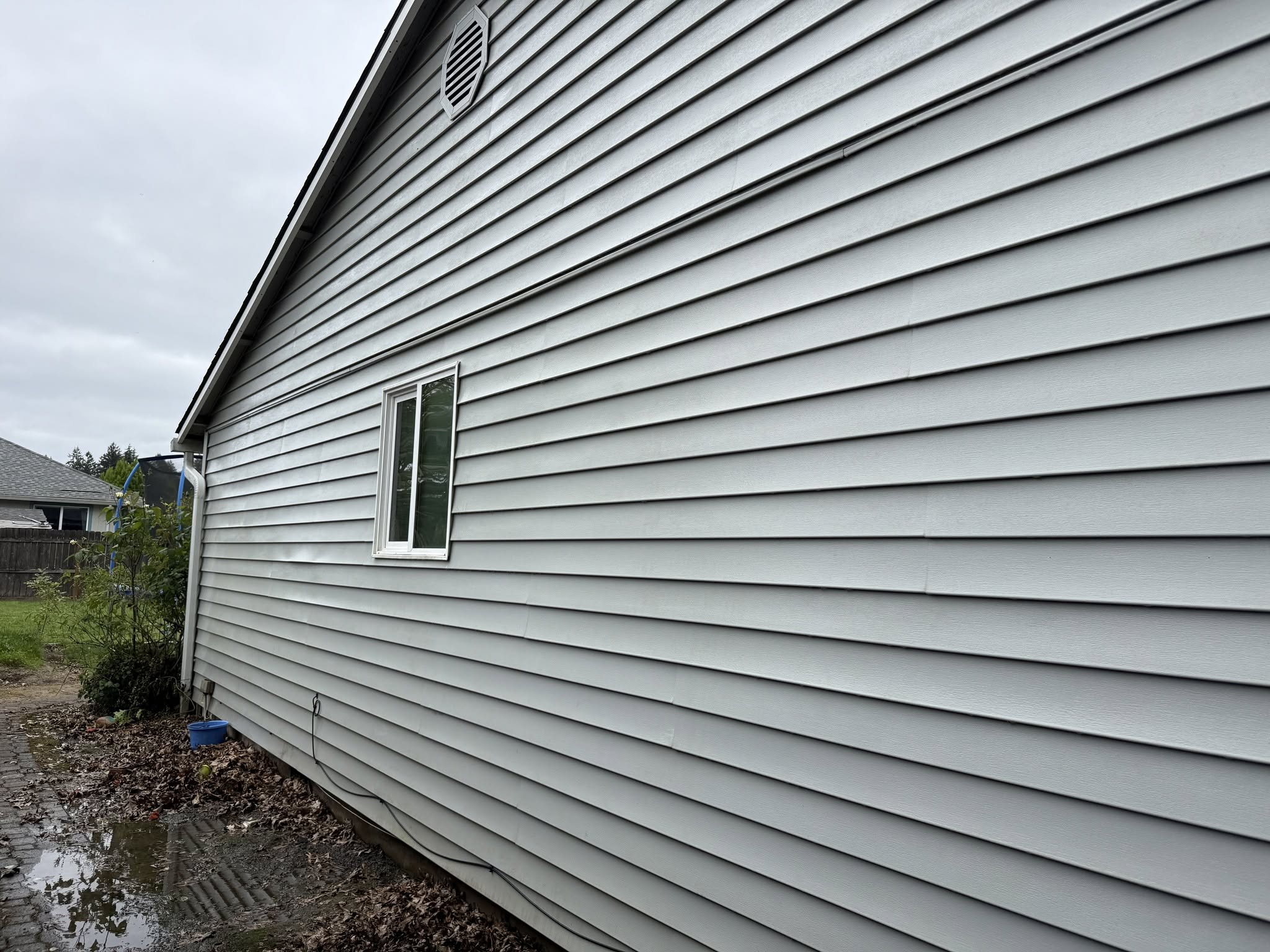 House siding after pressure washing