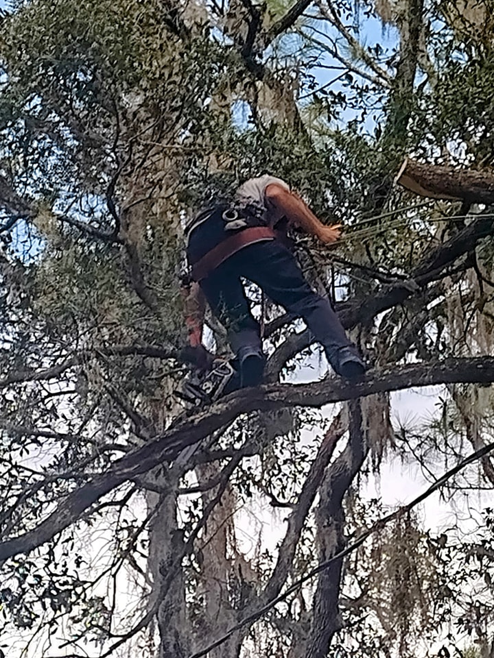  for Tru Tree Service LLC in Lecanto, FL