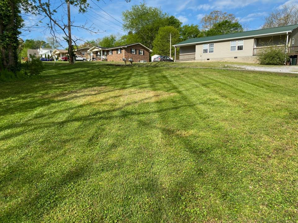  for Pro Lawn and Landscape in White Bluff, TN