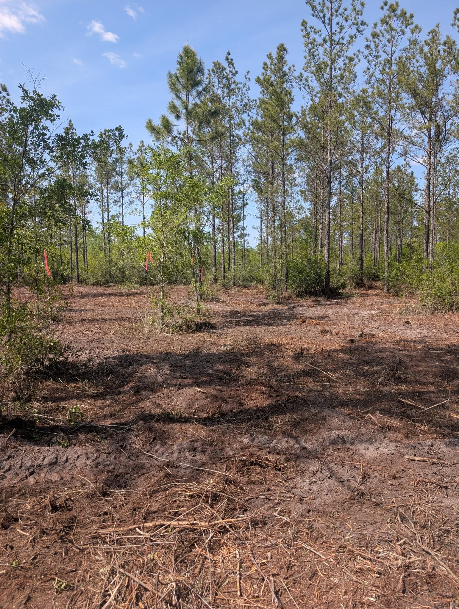  for TDWS Land Management in Blackshear, GA