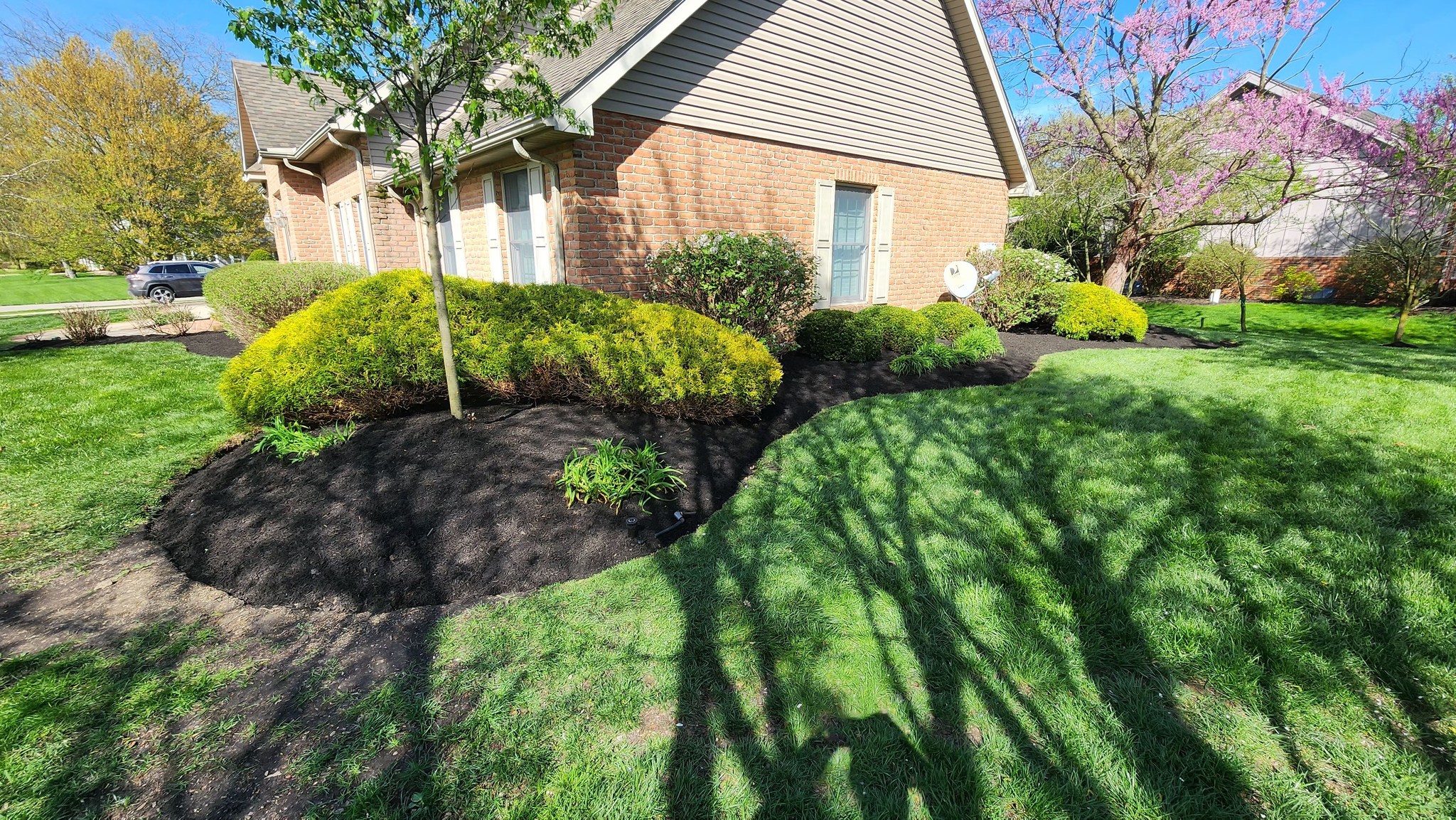Knapps Landscaping and Lawn Care team in Marion, OH - people or person