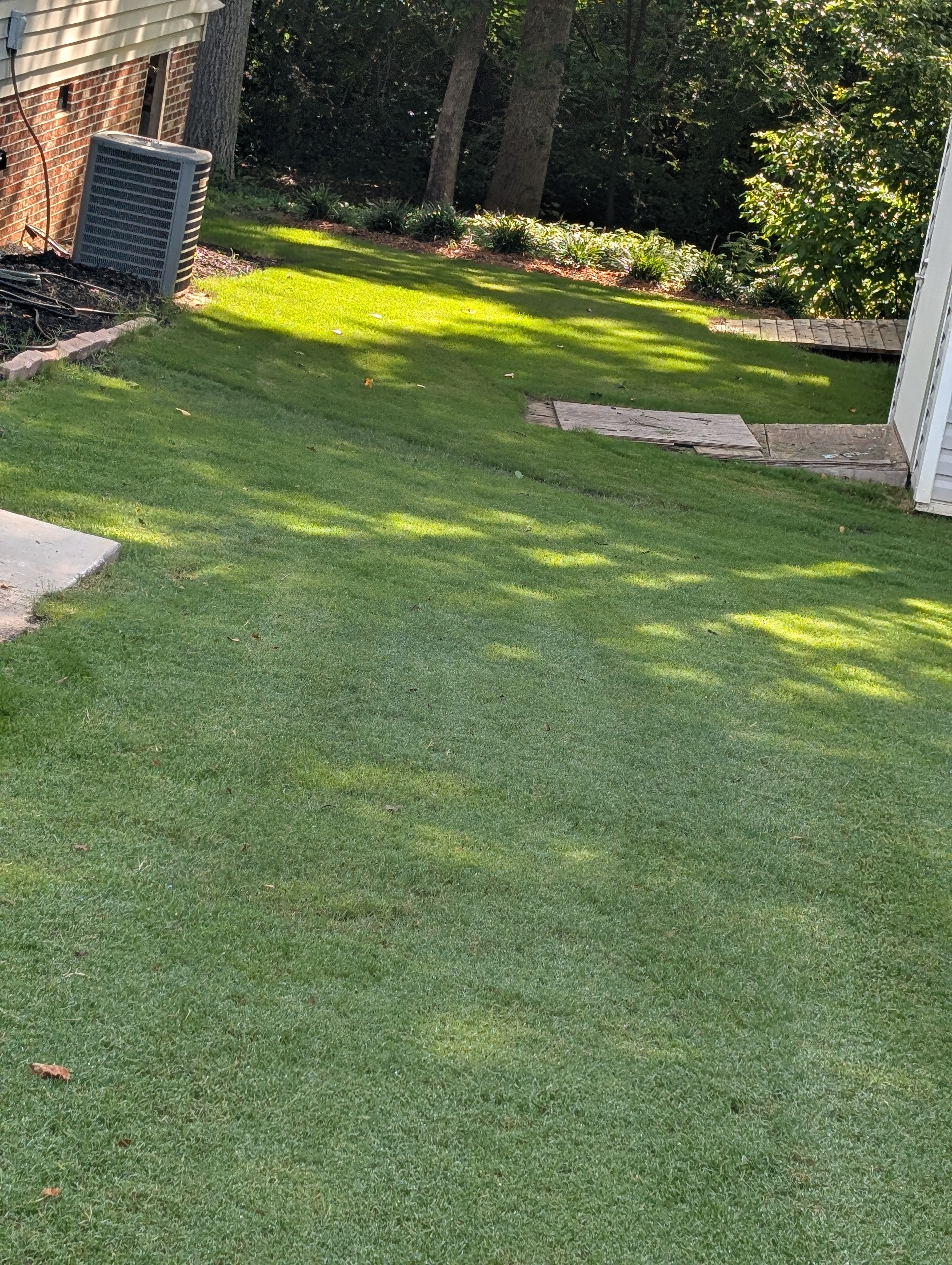  for Teacher Man Lawn Care in Easley, SC