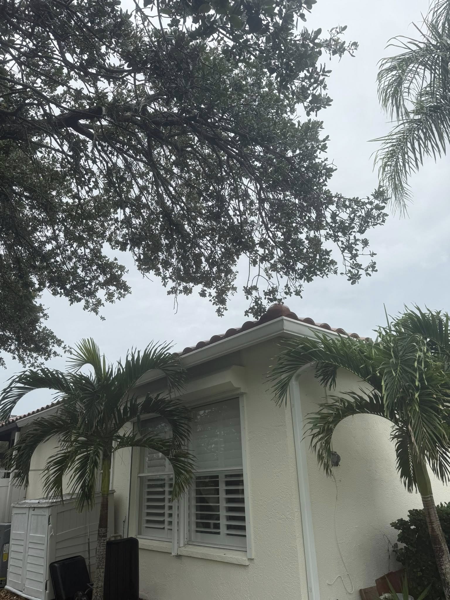  for Damian’s Tree Care in Sarasota, FL