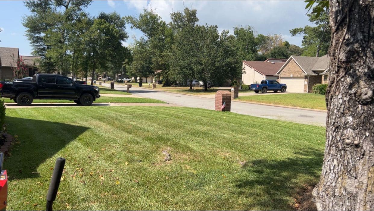 Casey's Lawn Service team in Houston, TX - people or person