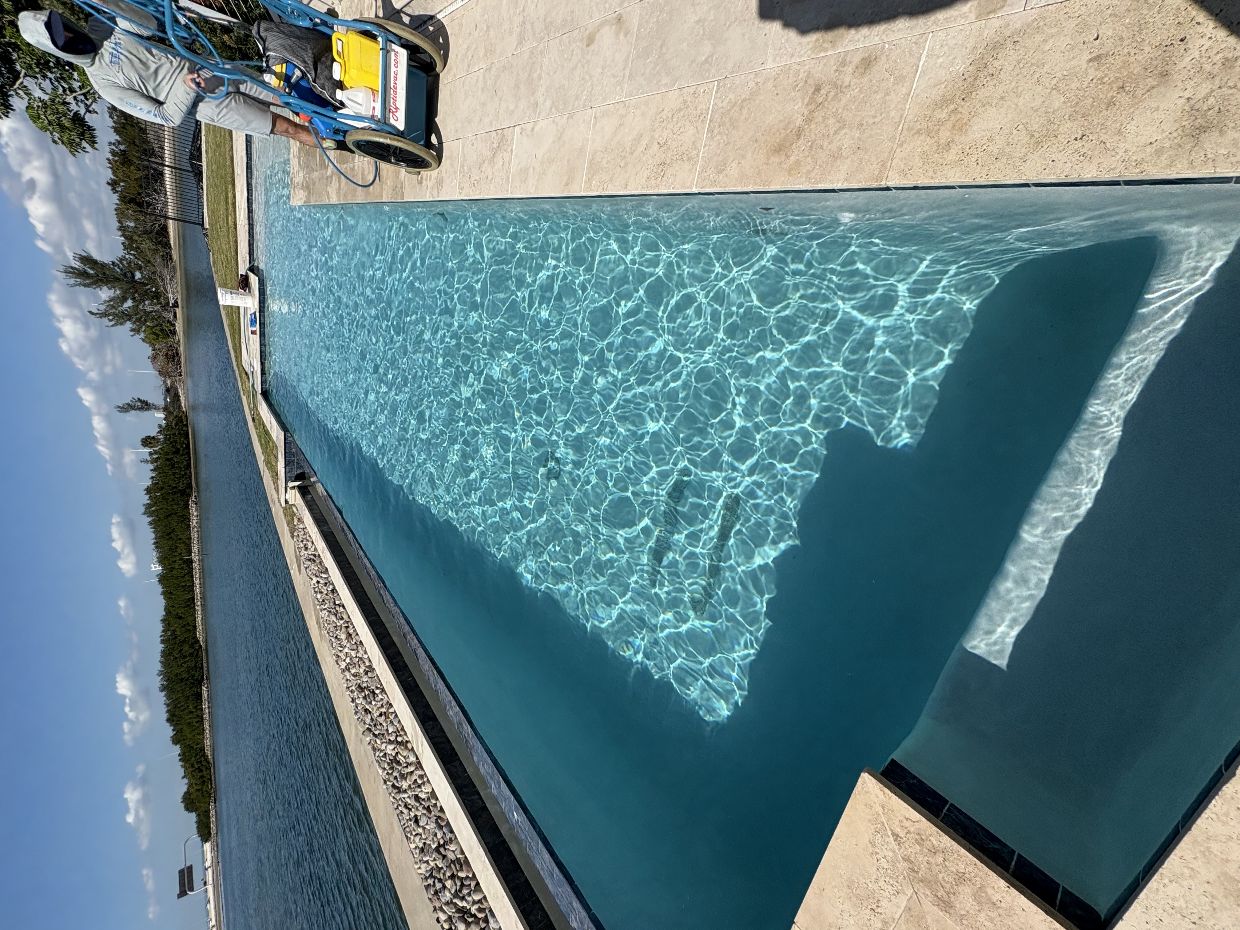  for Blue Bay Pools in Tampa, FL