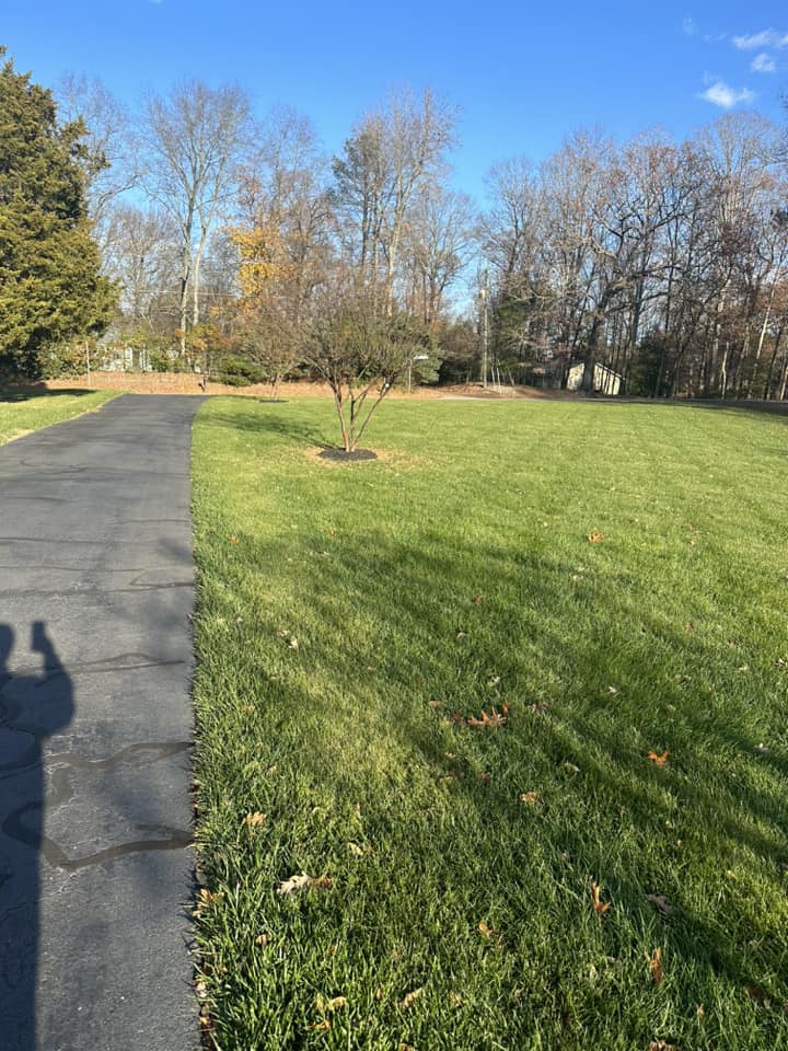  for Lawn Popper's, LLC in Richmond, VA