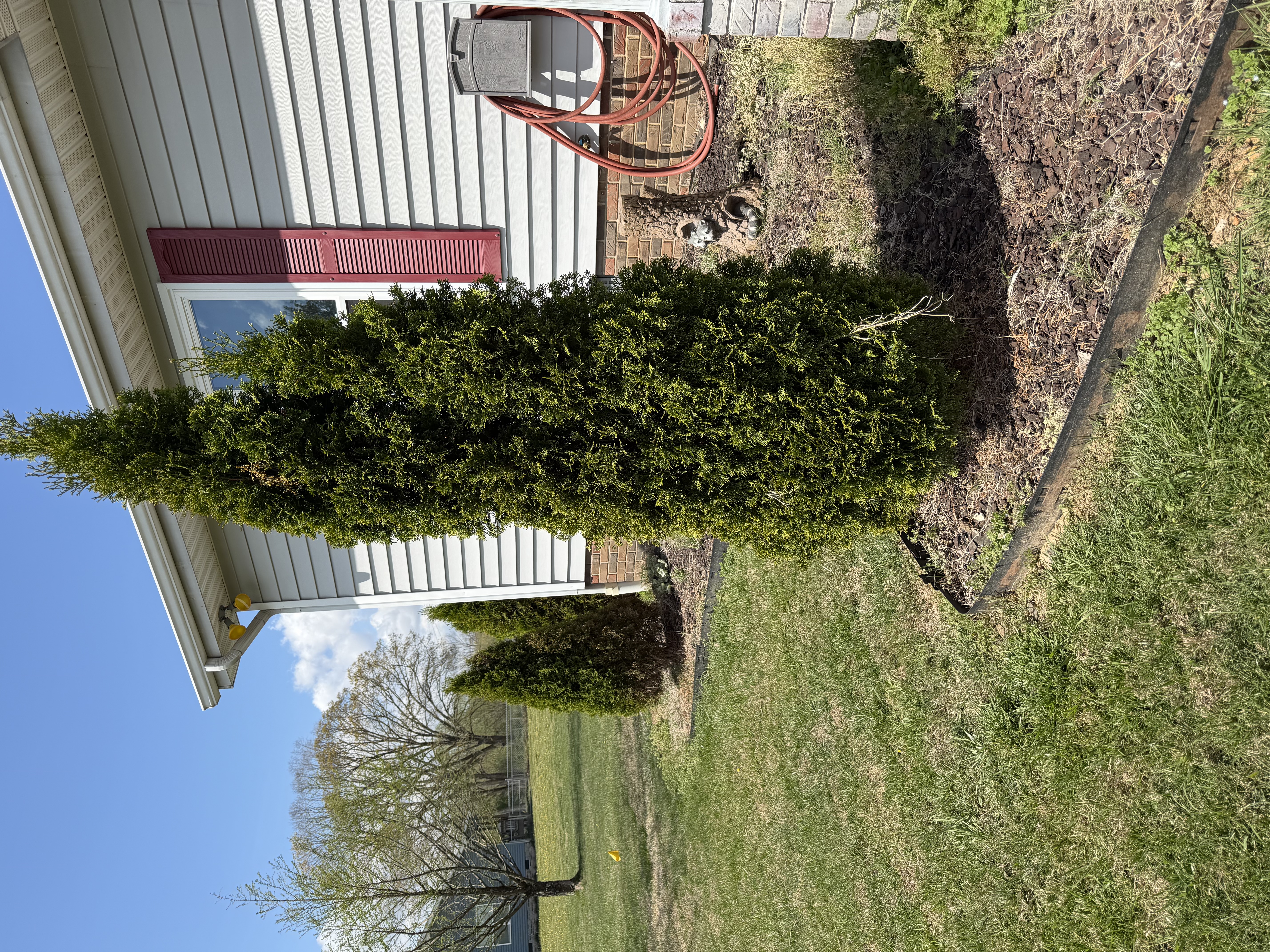  for Shaffer Solutions in Manchester, TN