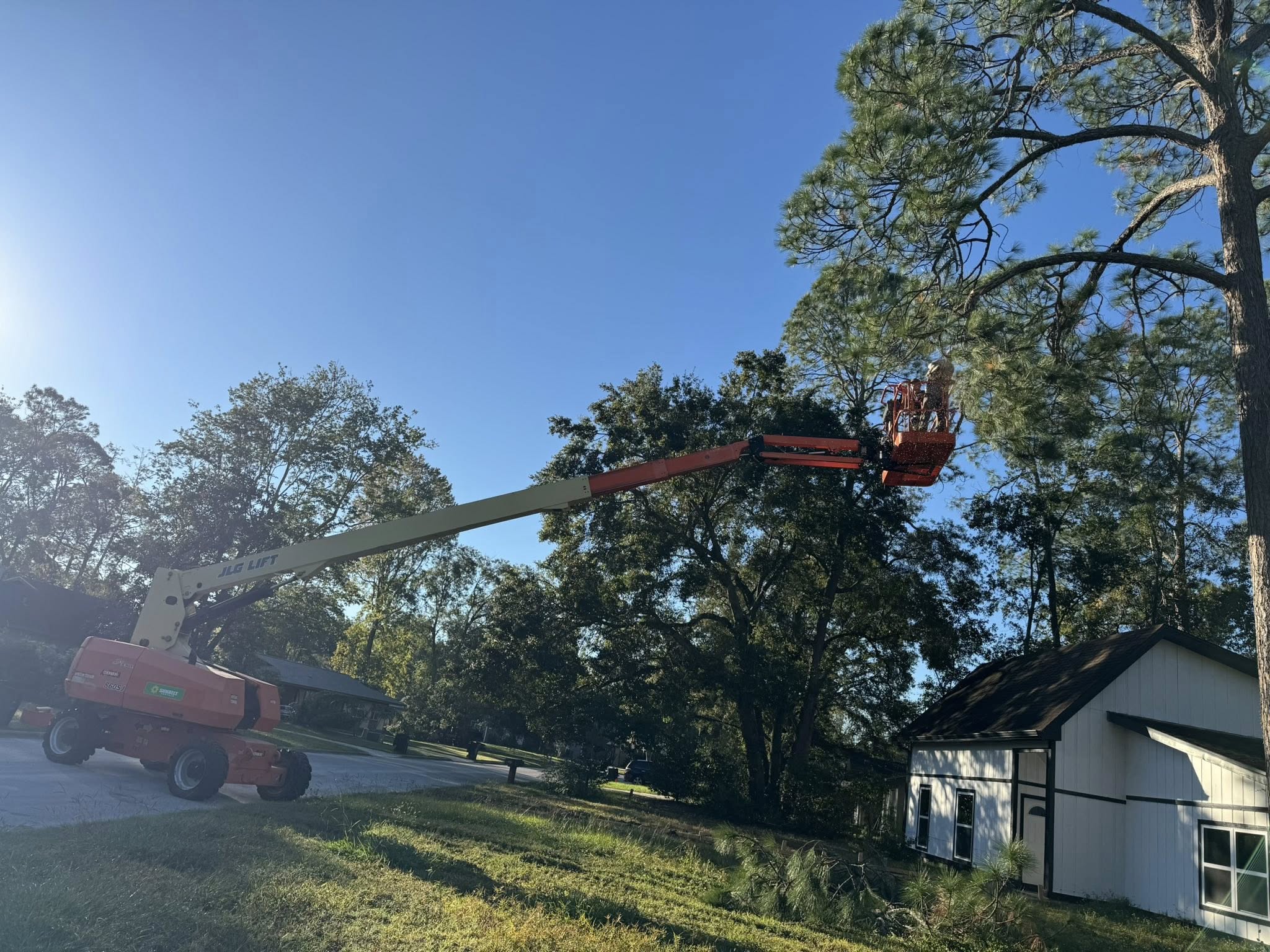  for All Seasons Tree Service and Land Works in Trenton, FL