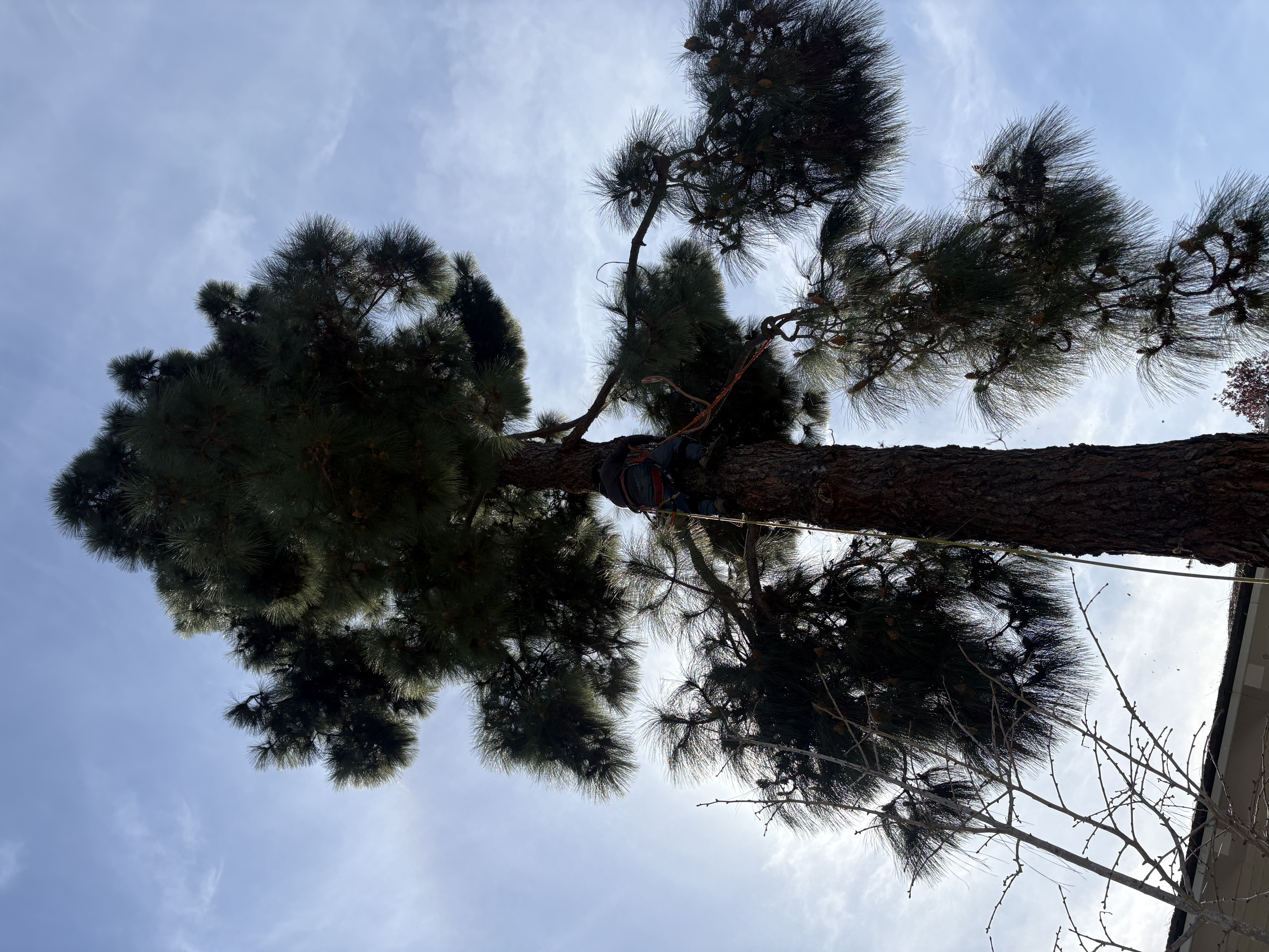  for Herreras Land Service in San Diego, CA