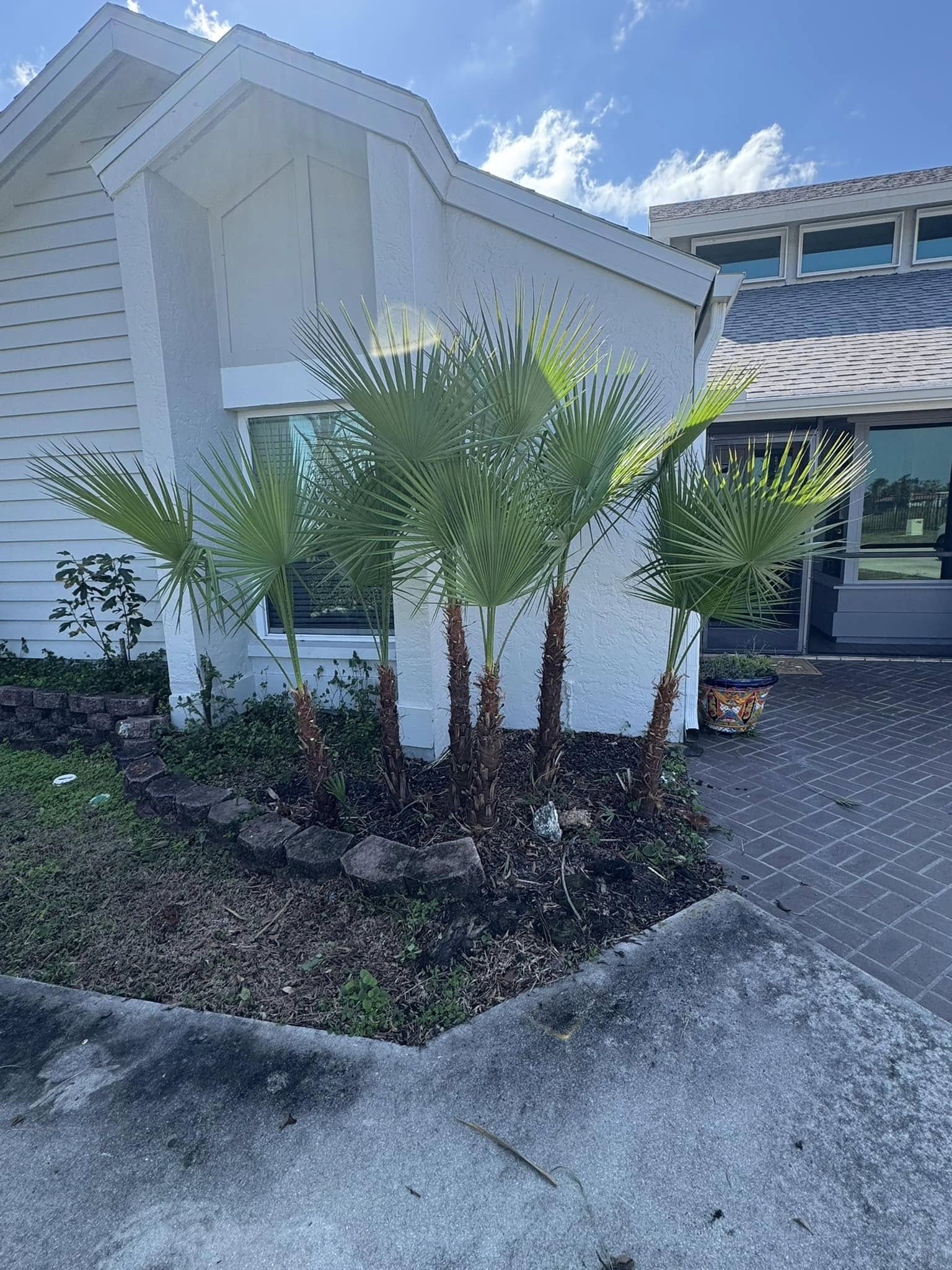  for BH Lawn and Landscape in Fort Myers, FL