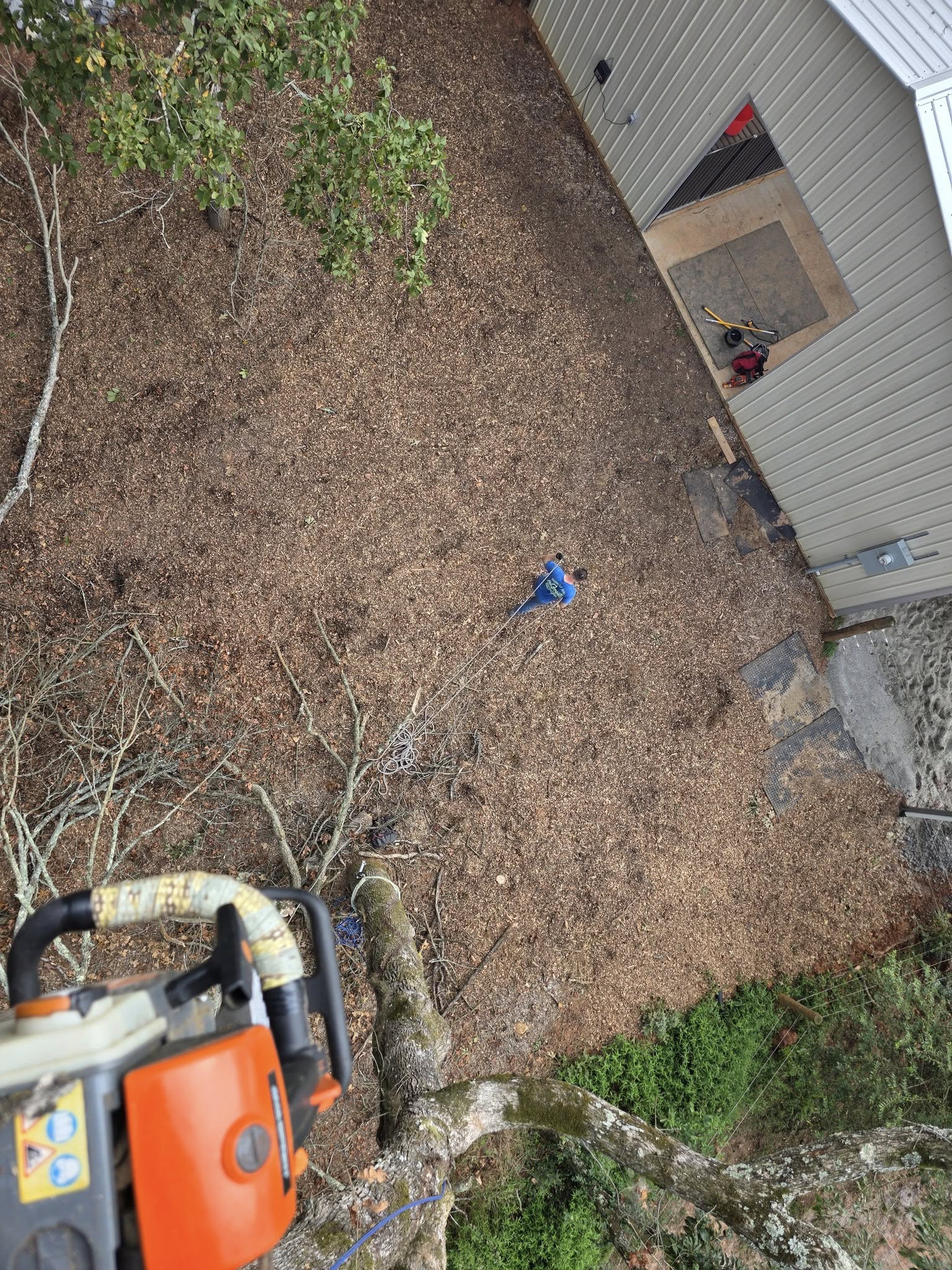  for Bobcat Bob in Clermont, GA