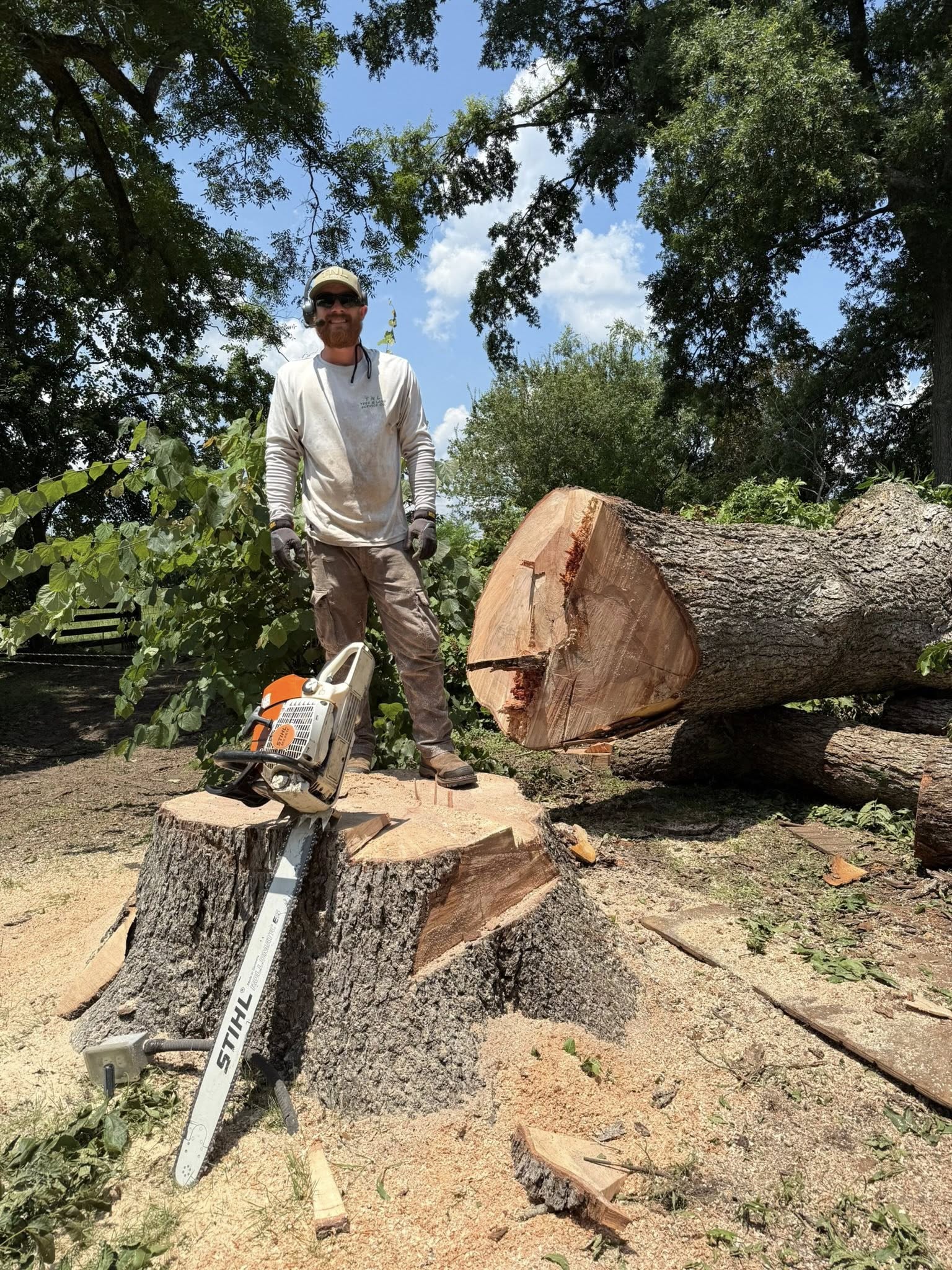  for T N L - Tree and Land Service in Reynolds, GA