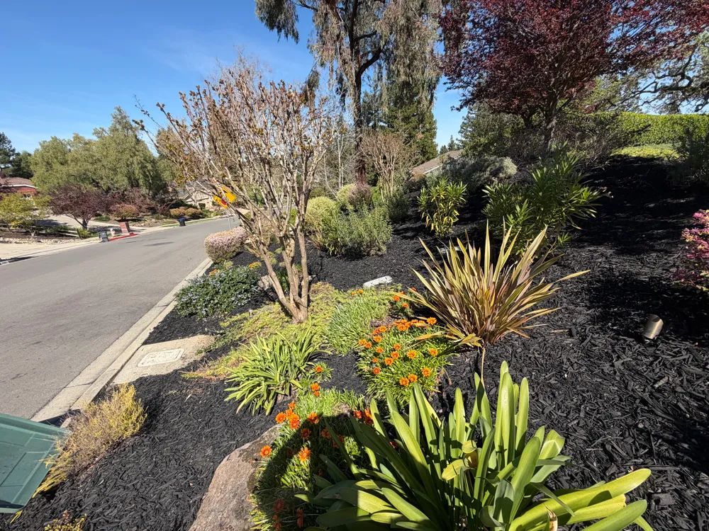  for CBA Landscaping in Hayward, CA