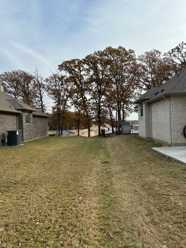 Finished tree trimming and stump removal service