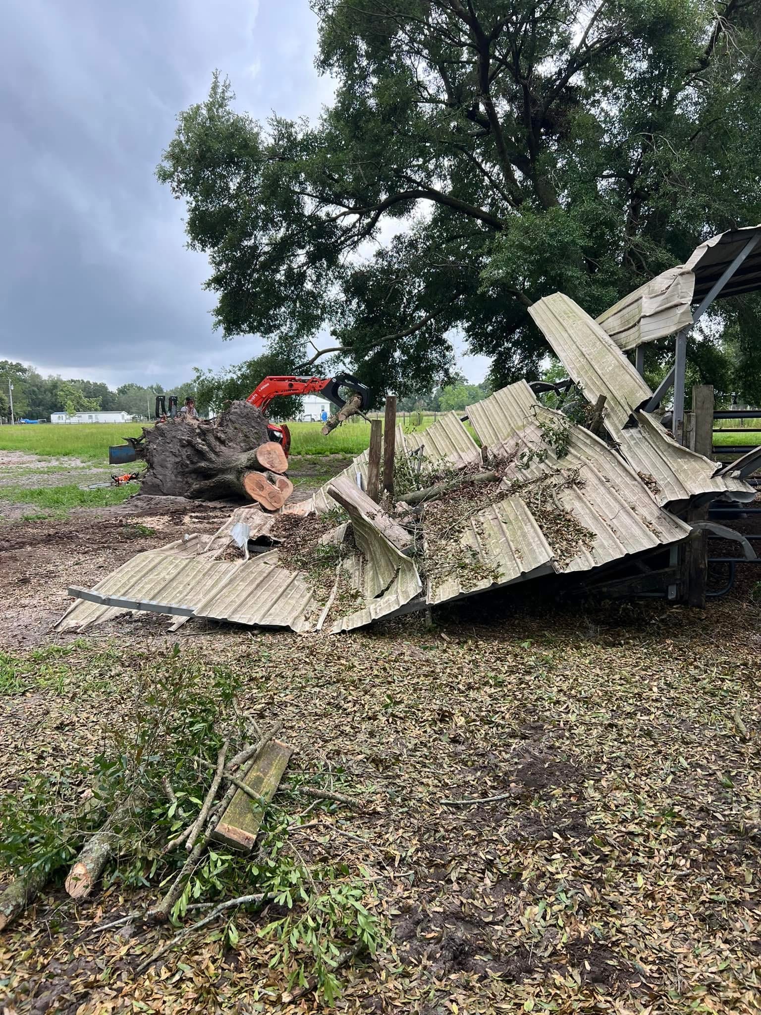  for Warners Tree Solutions in Live Oak, FL