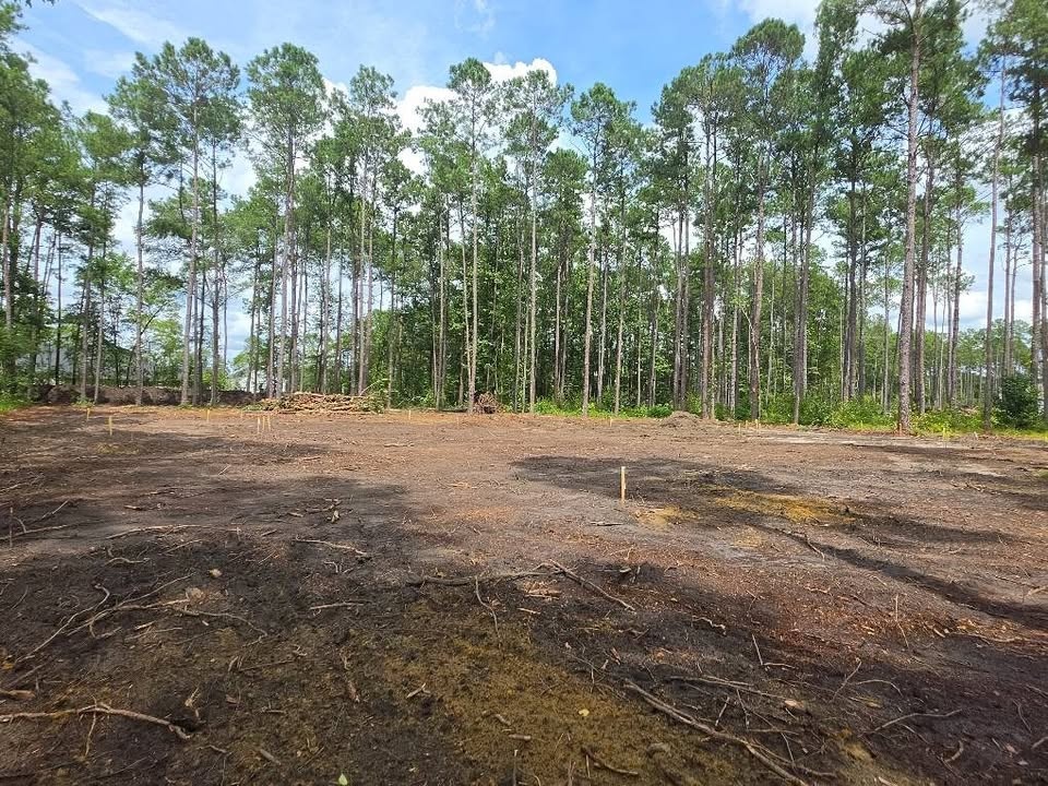  for Barnhill land clearing LLC in Horry County, SC