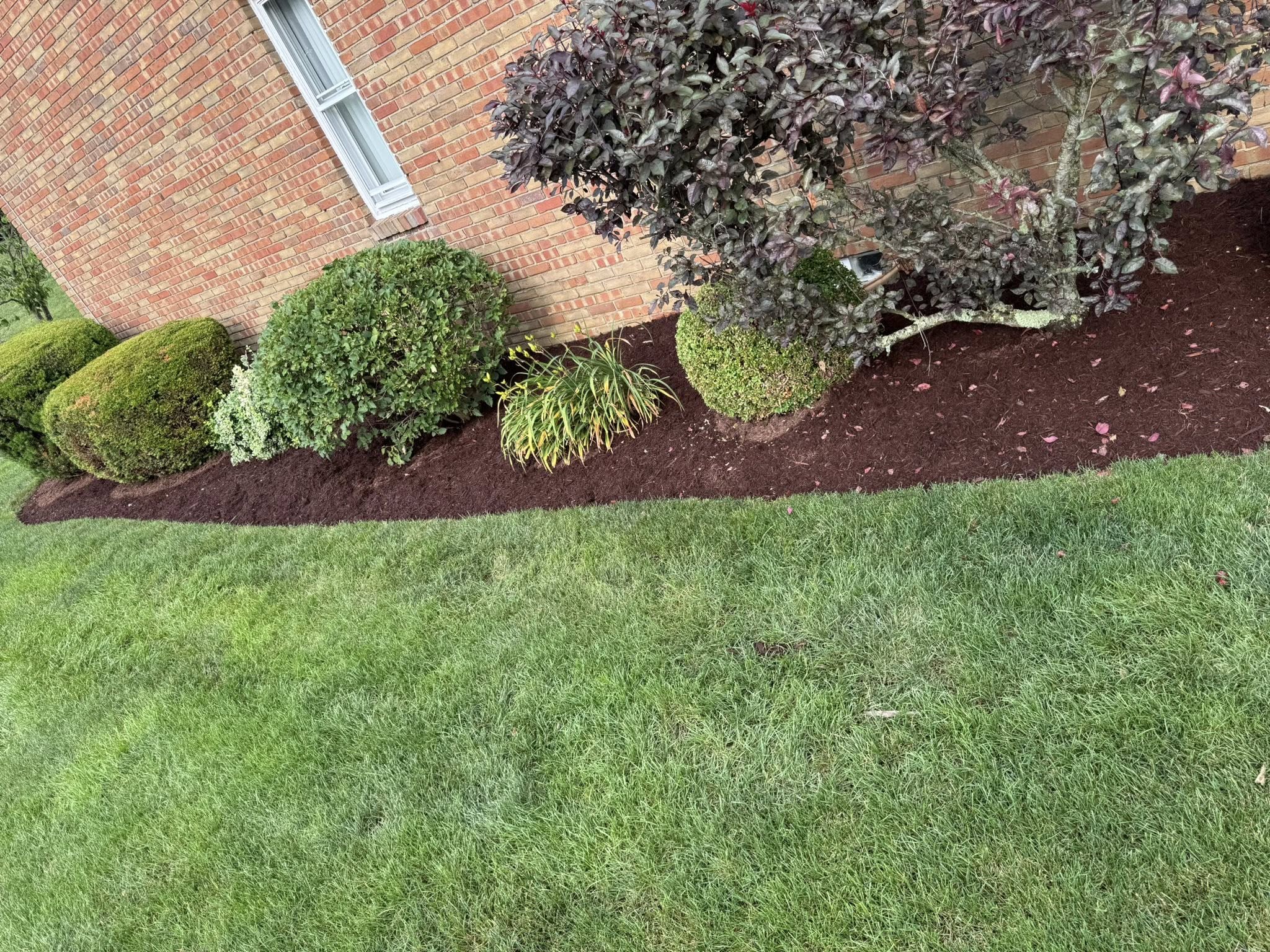  for D&C Lawn Care LLC in Steubenville, OH