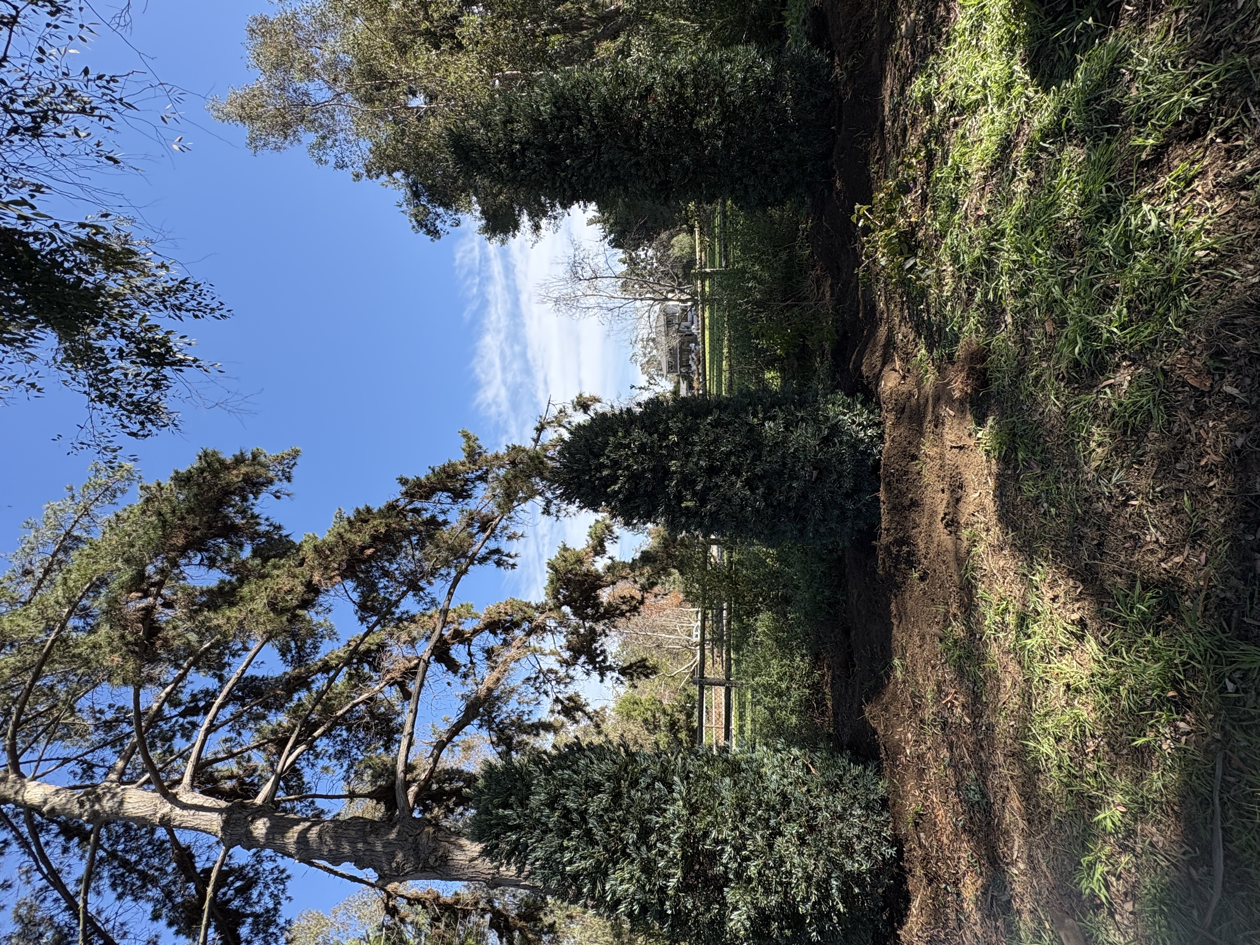  for Herreras Land Service in San Diego, CA