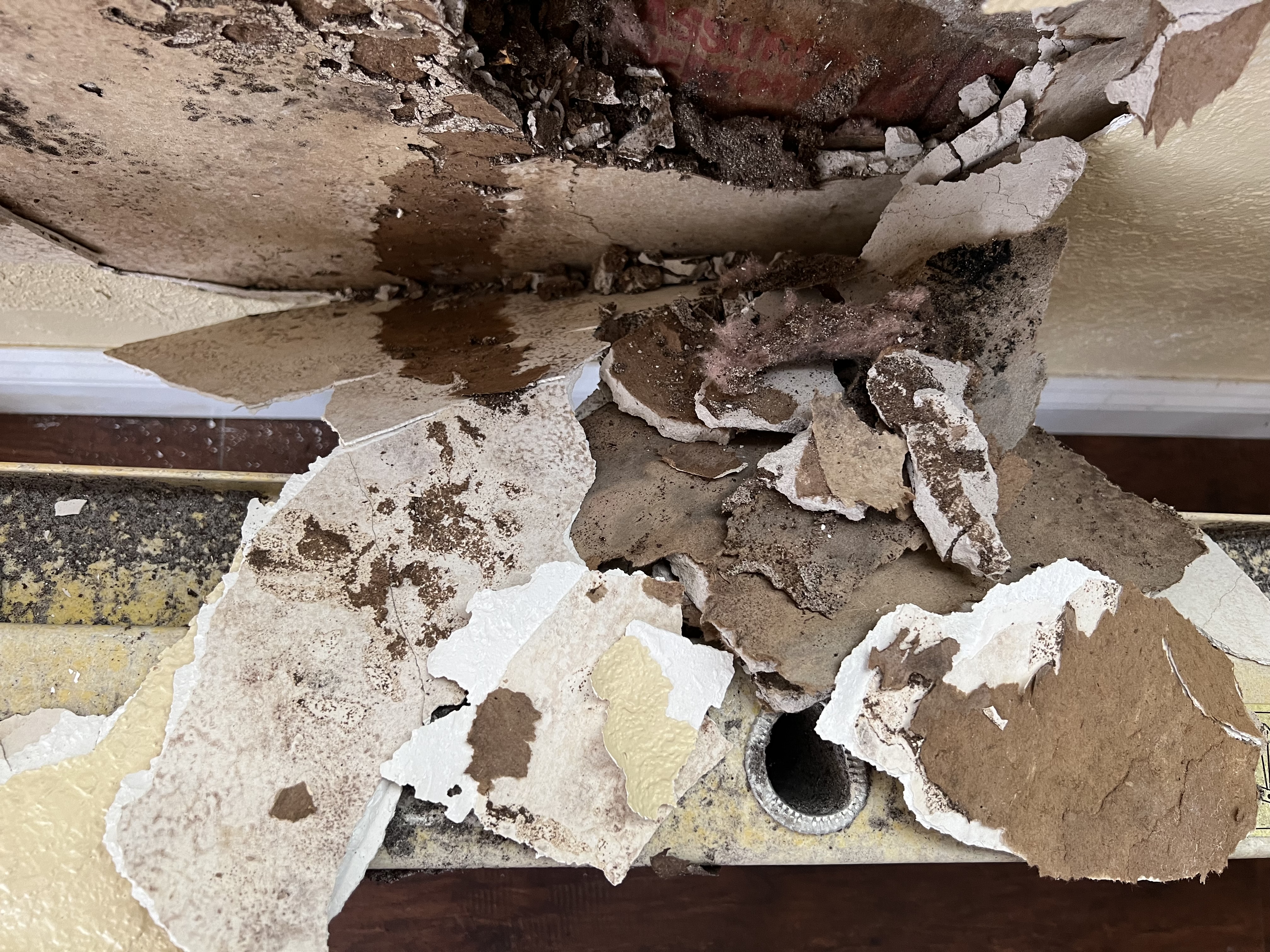  for N&D Restoration Services: When Disaster Strikes, We Come In in Cape Coral,  FL