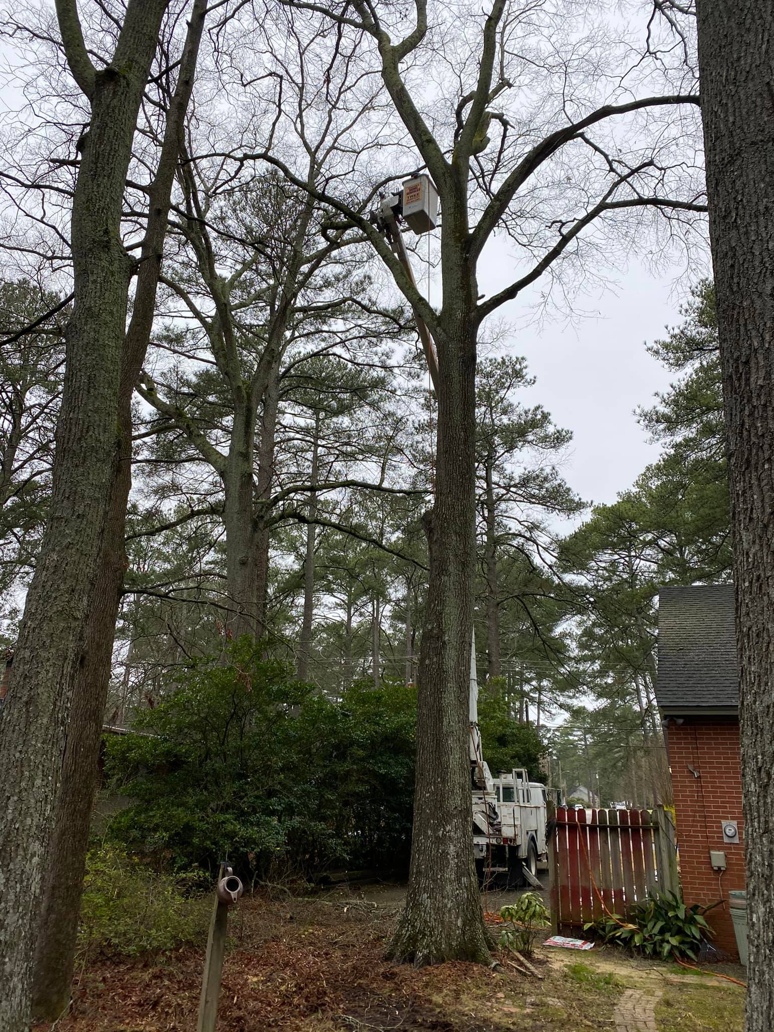  for Donnie's Tree Services in Wilson, NC