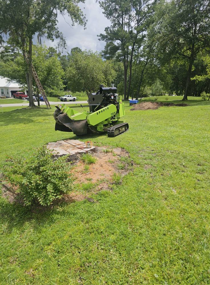  for Stumps done right LLC in Middleburg, FL