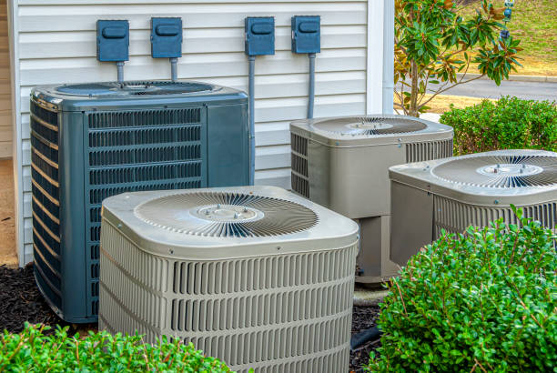  for The Cold Standard HVAC in Pinellas County, FL