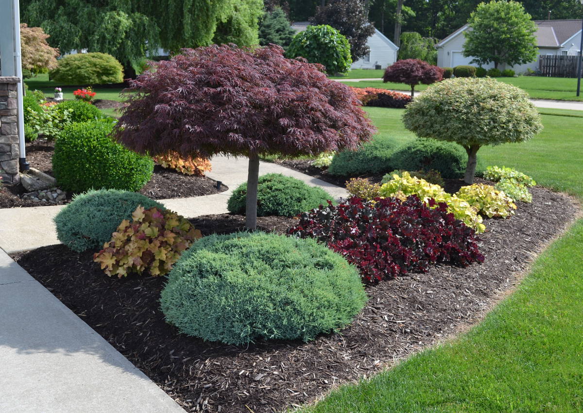  for Santomaro's Signiture Lawn & Landscapes in North Providence, RI