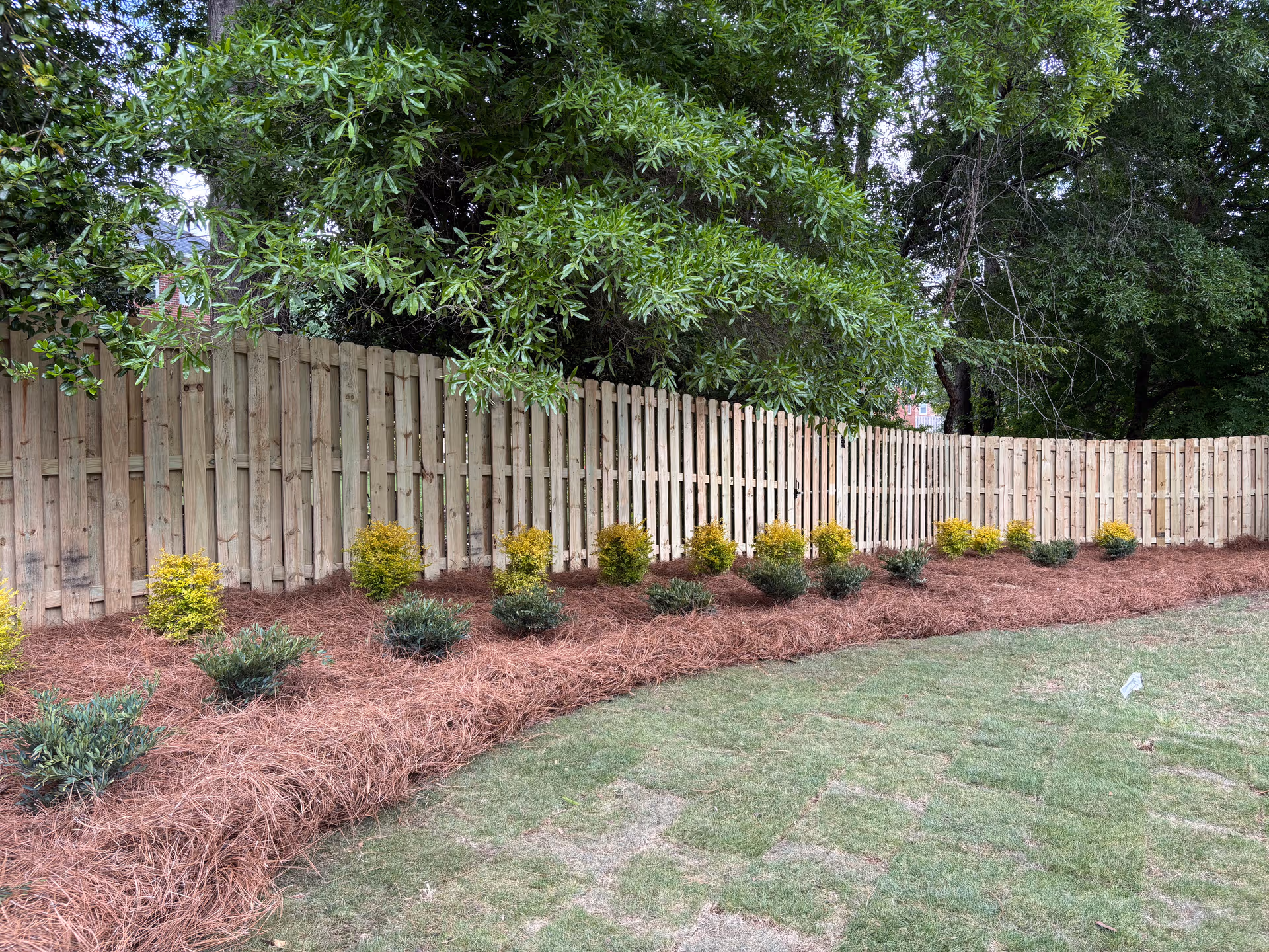 Privacy Fence, Fresh Sod and New Landscaping Bed in Chattanooga TN