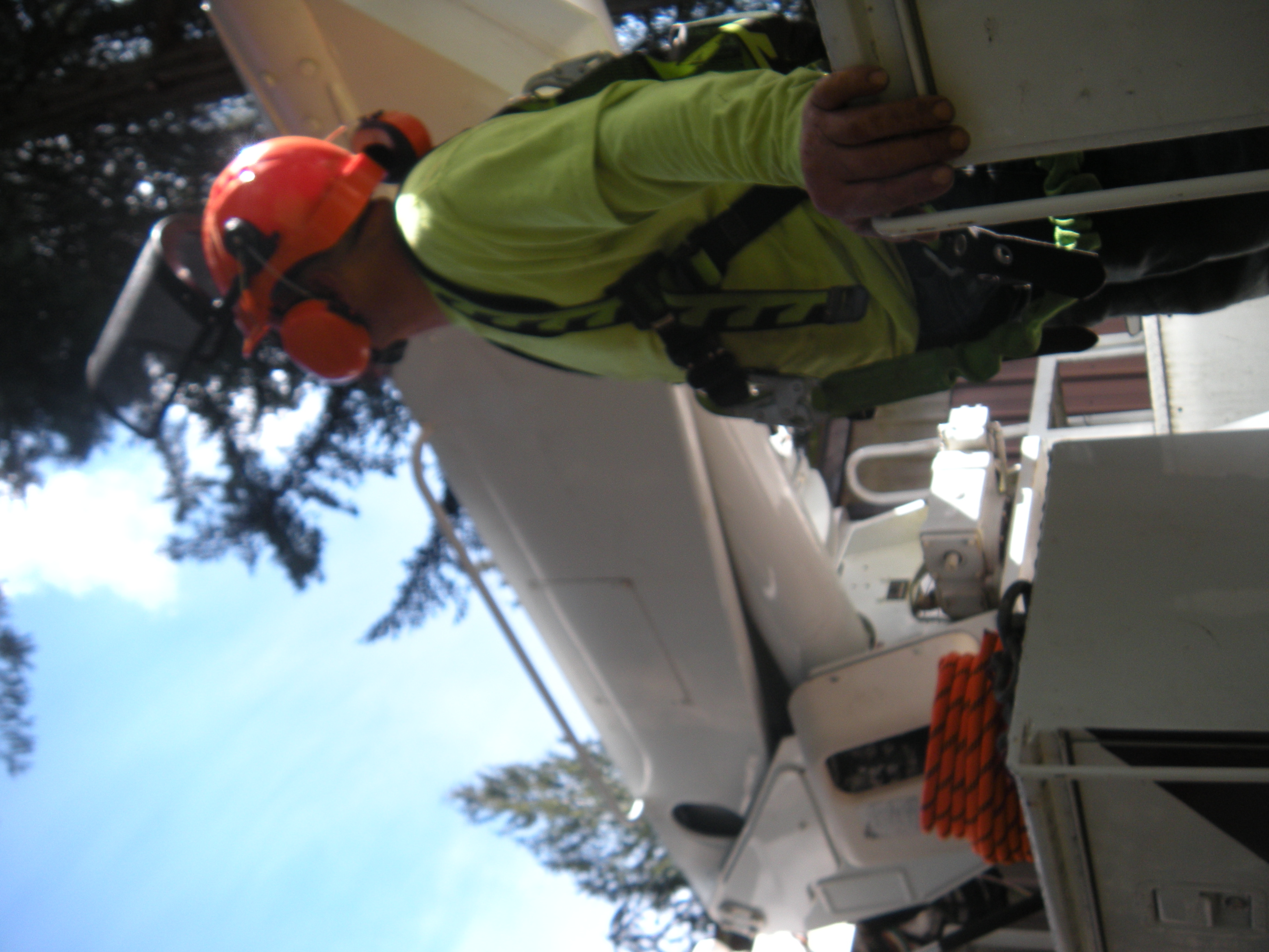  for Willamette Landscaping & Tree Services in Albany, OR