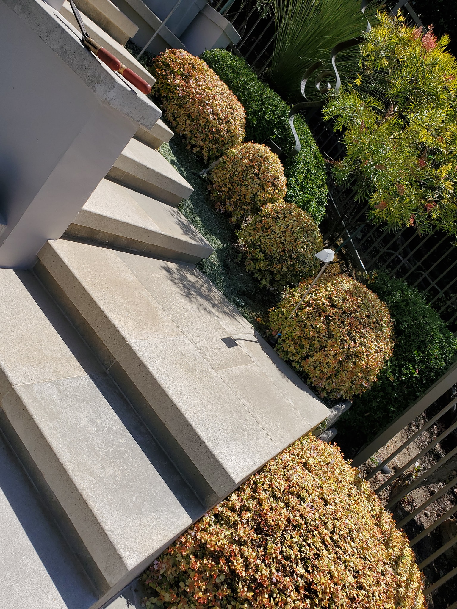  for Benito's Gardening in San Juan Capistrano, CA