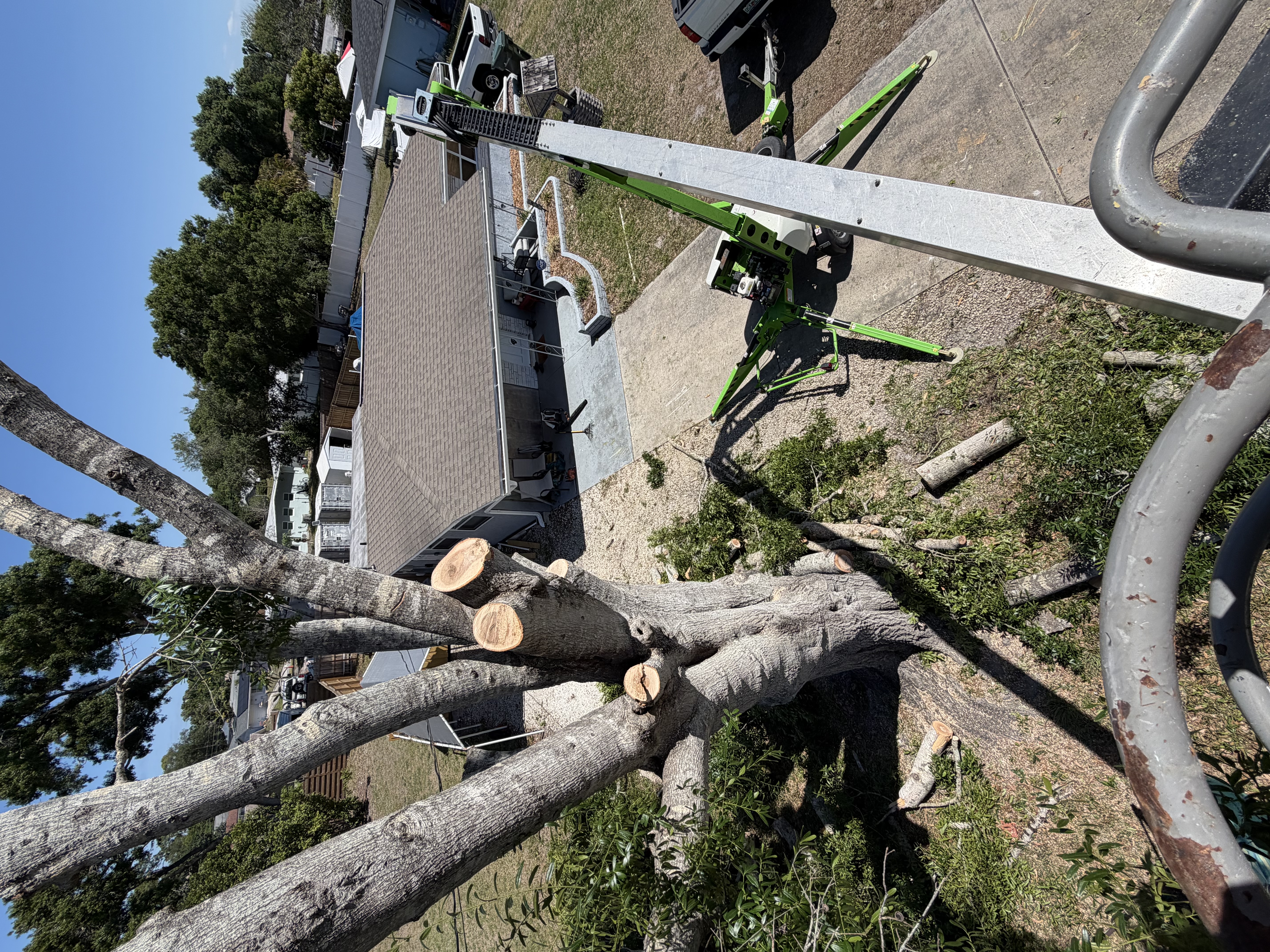  for Damian’s Tree Care in Sarasota, FL