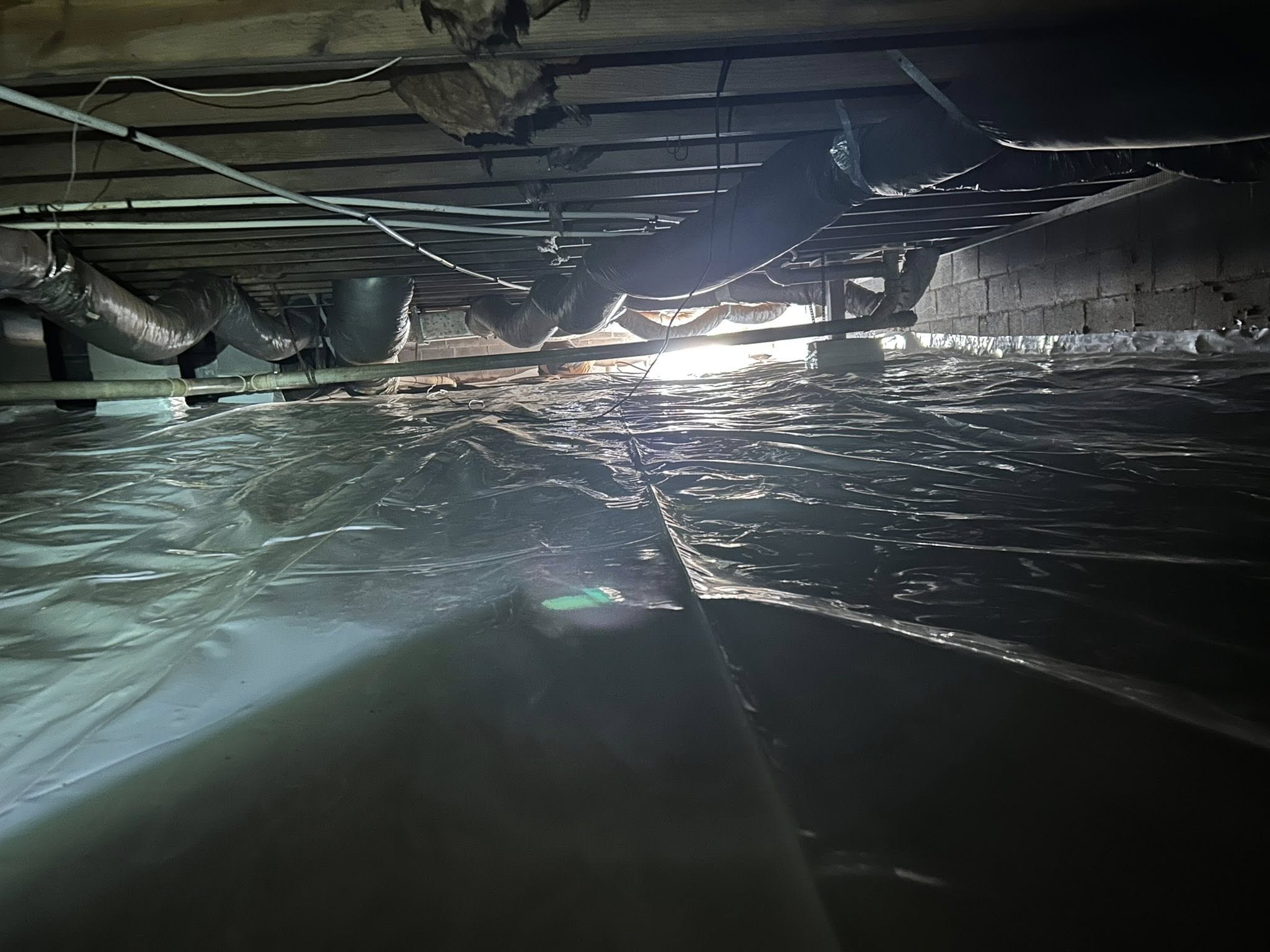  for Winecoff Pest Control in Salisbury, NC