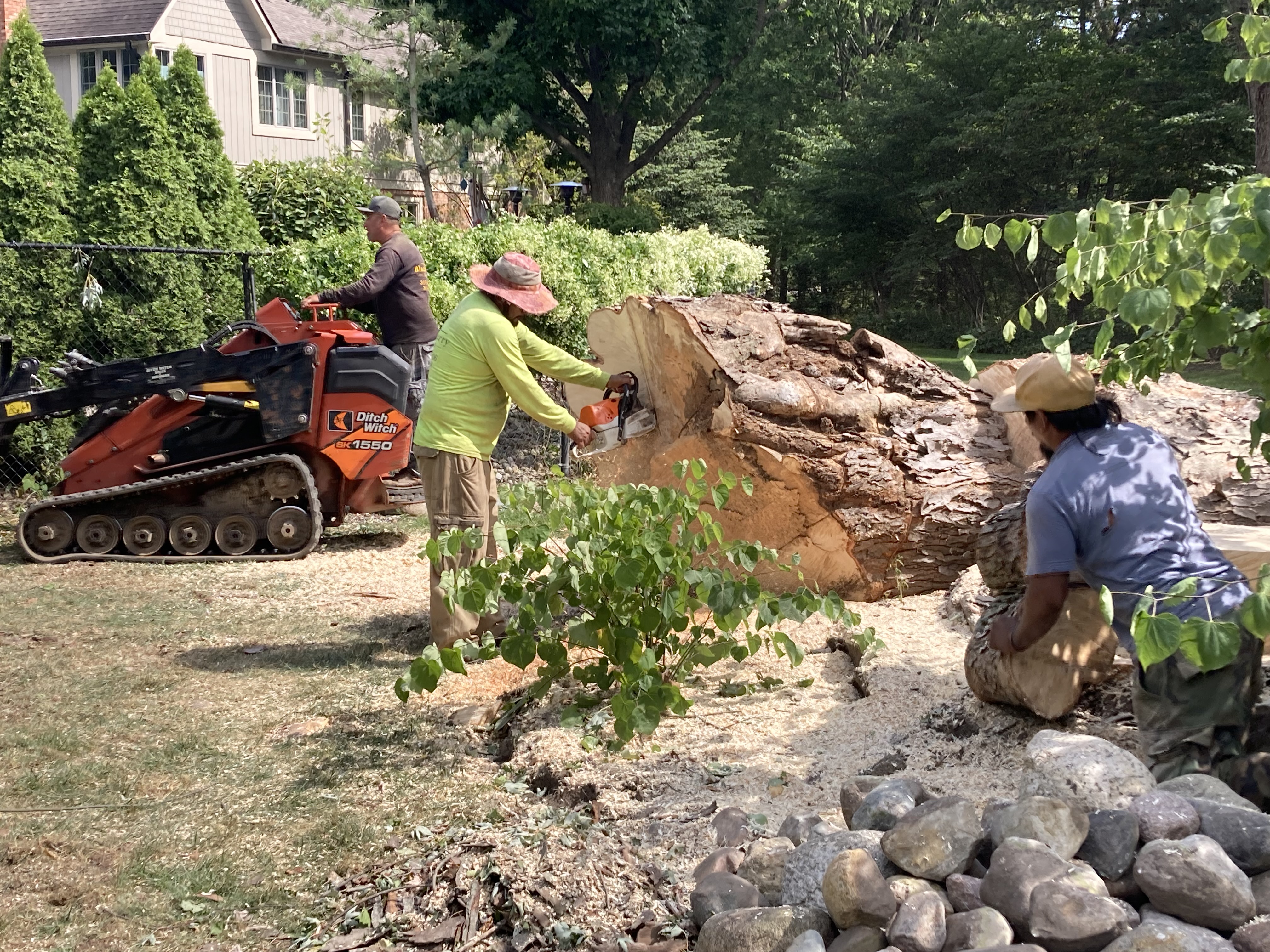 Village Tree Service  team in Whitestown, IN - people or person