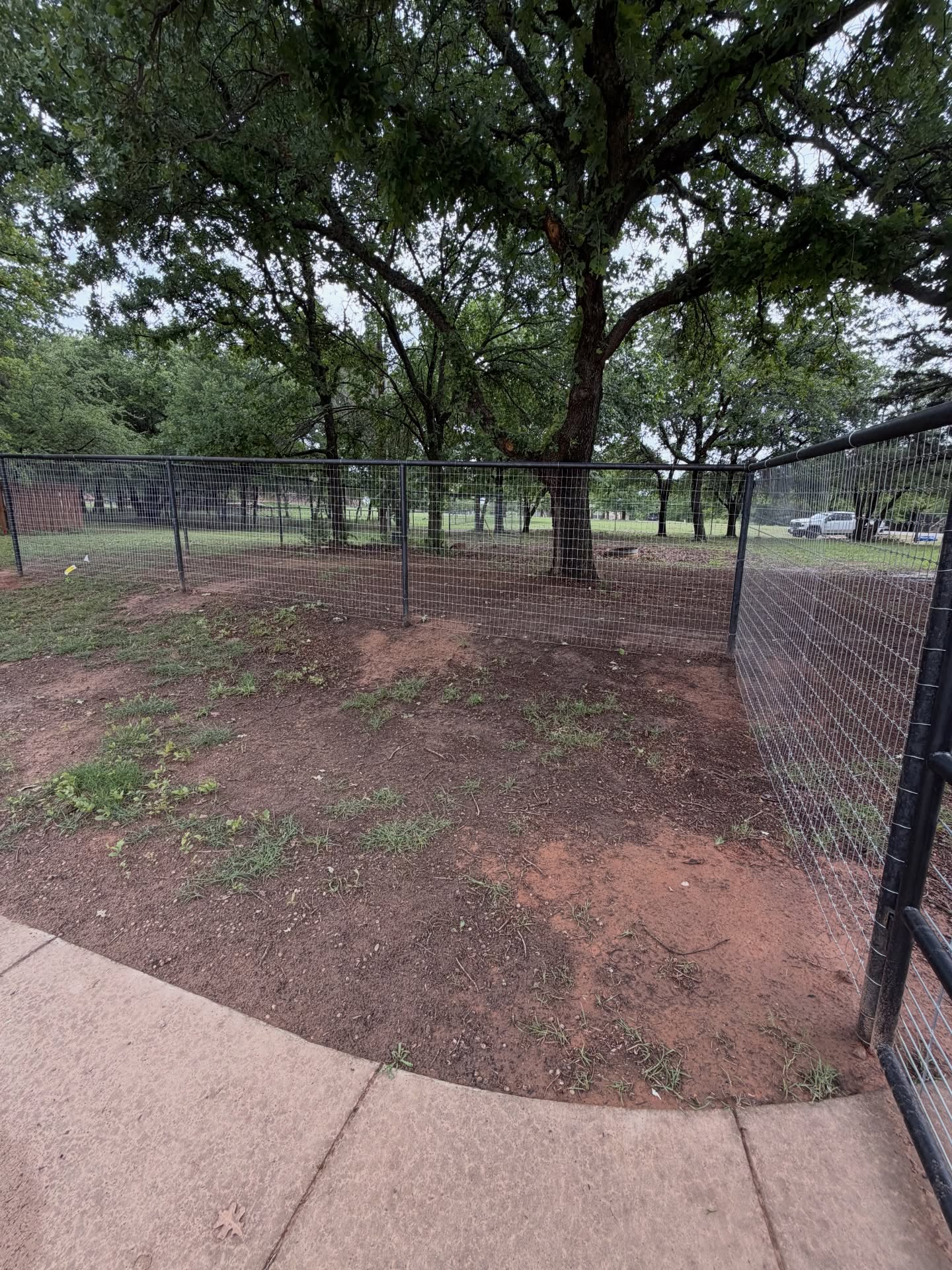 Wire fence line and steel posts running along a Texas property boundary