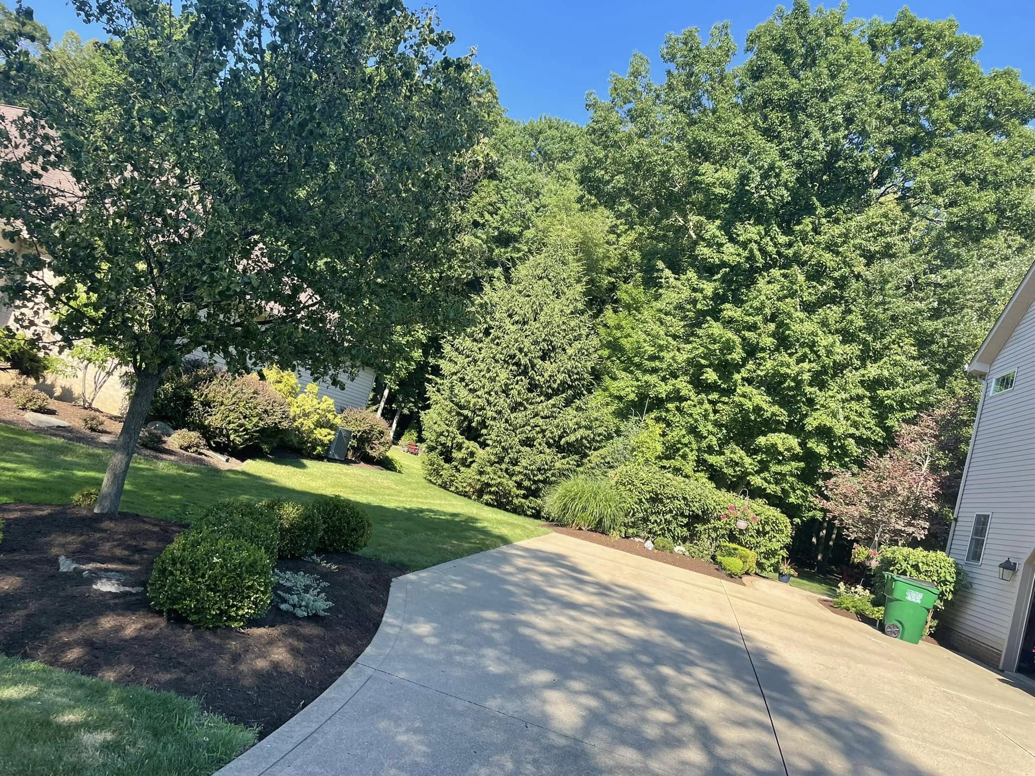  for Reynoso’s Fencing & Lawn Care in Painesville, OH