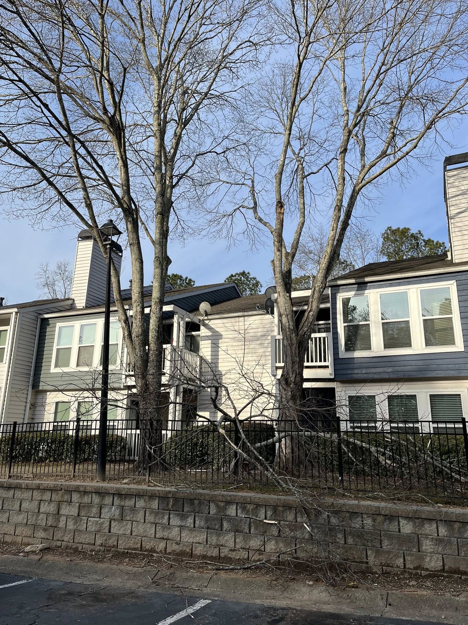  for High Tree Service & Landscaping in Atlanta, GA