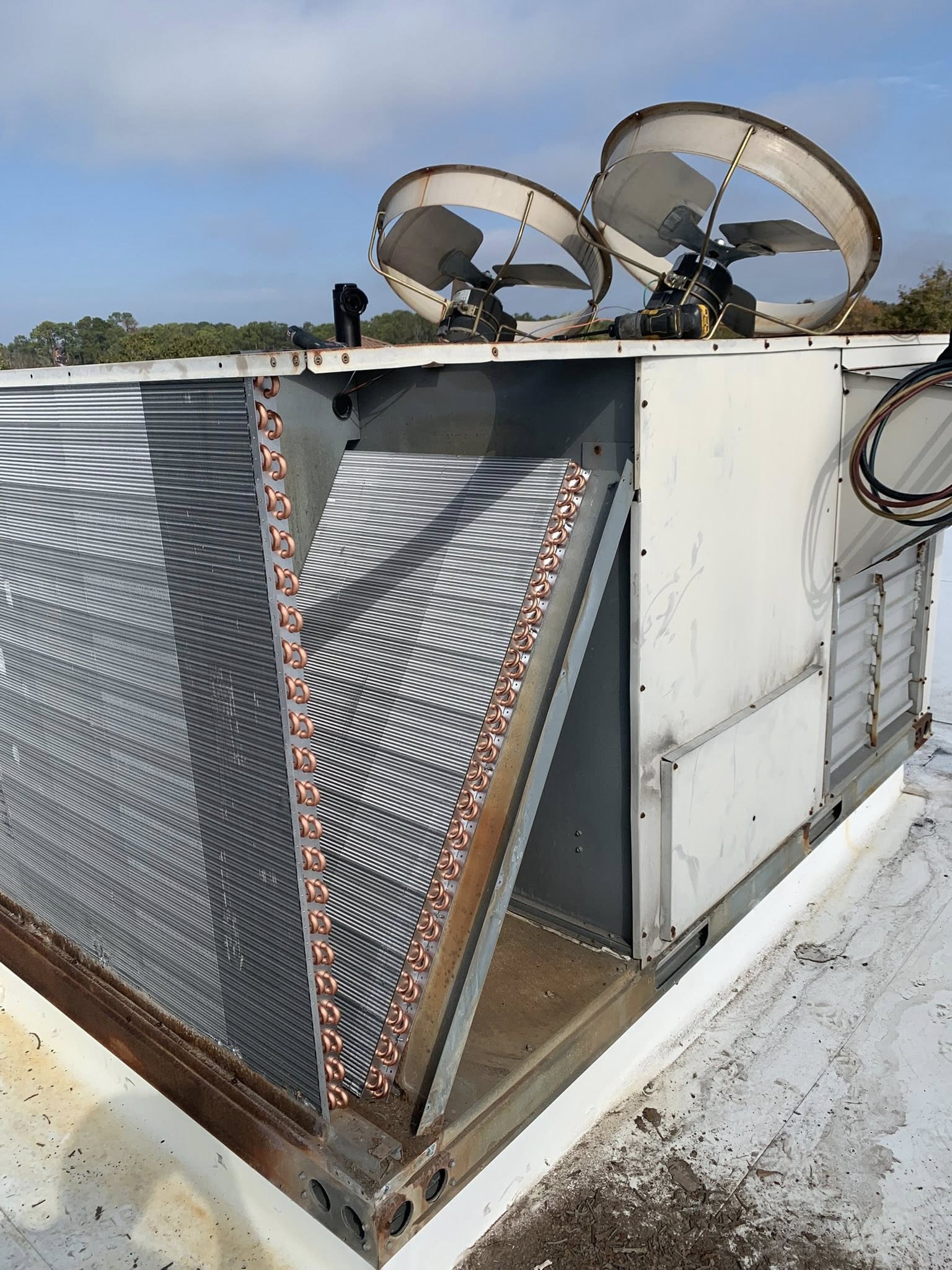  for MLB Services LLC in Kershaw County, SC