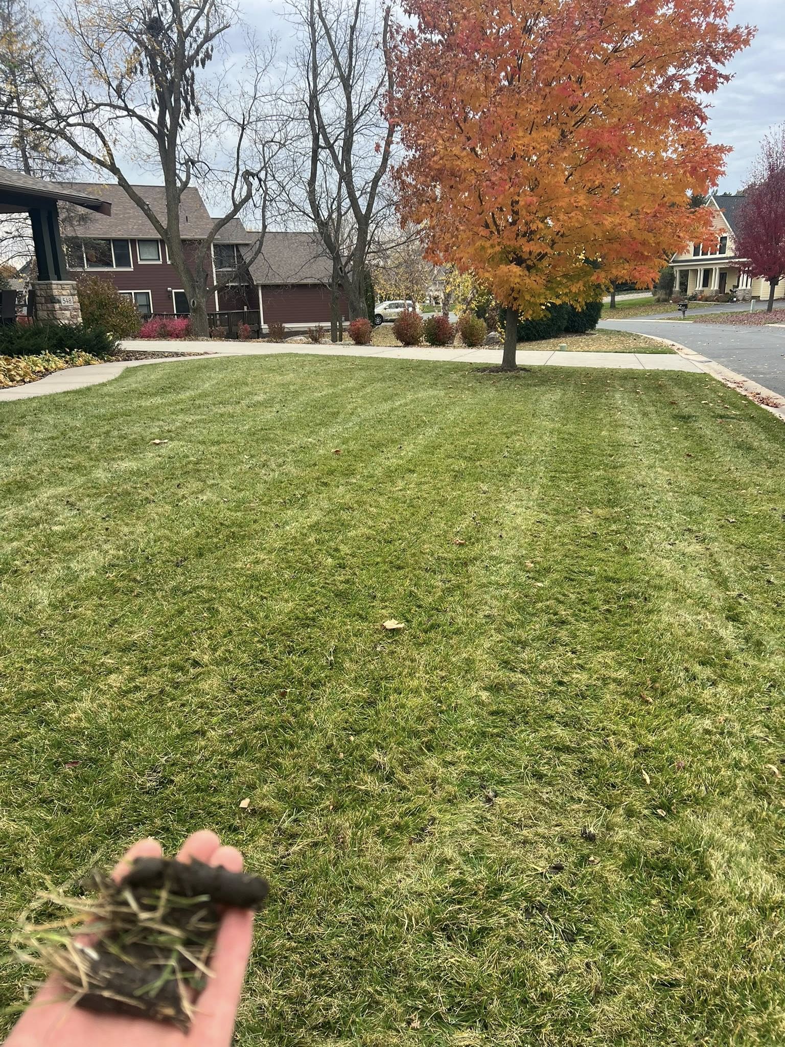  for Division One Landscaping in Elko New Market, MN