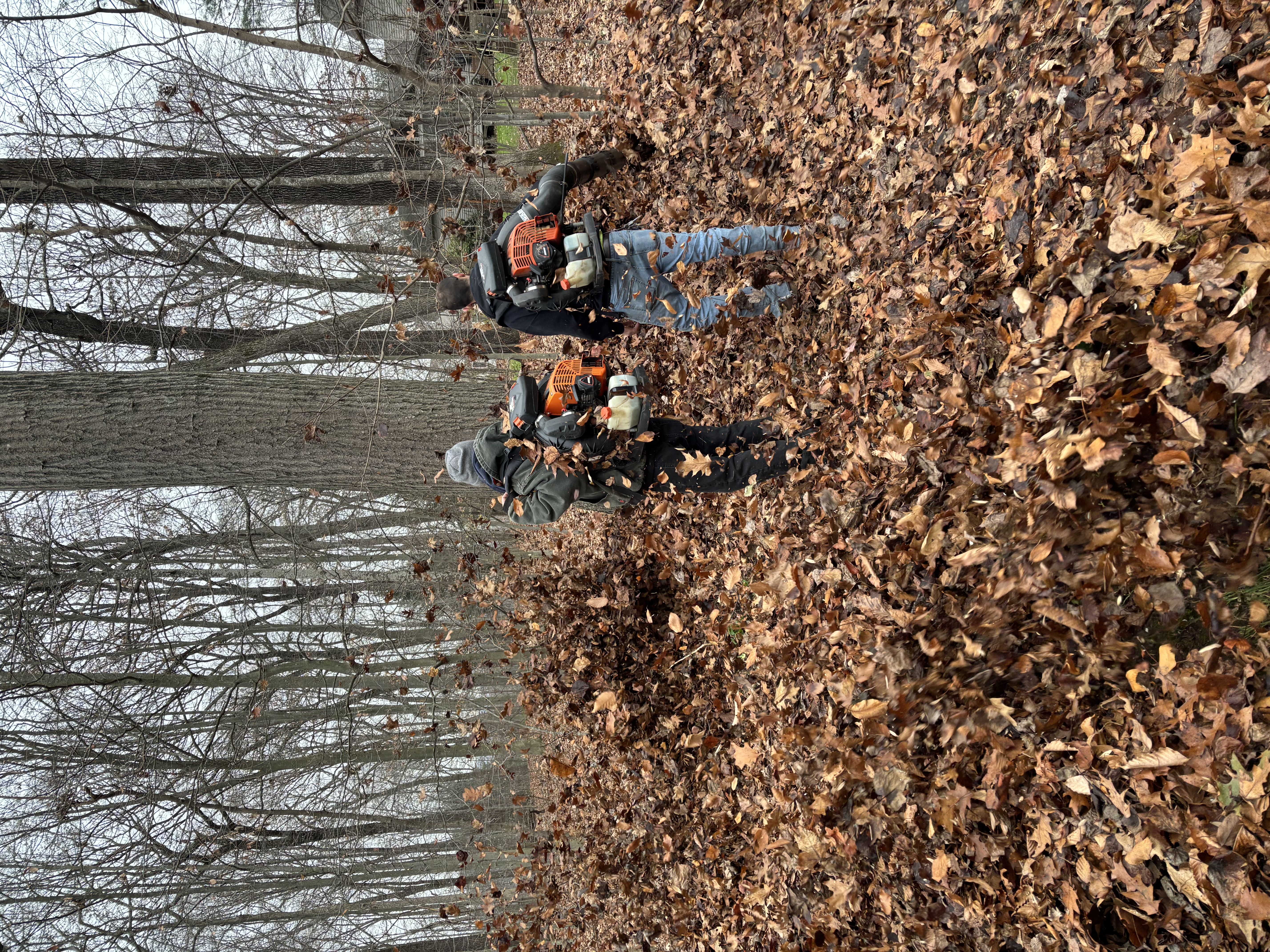  for Stevenson Property Maintenance in Cheshire, CT