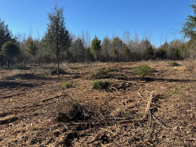  for Carolina Construction Services in Woodleaf, NC