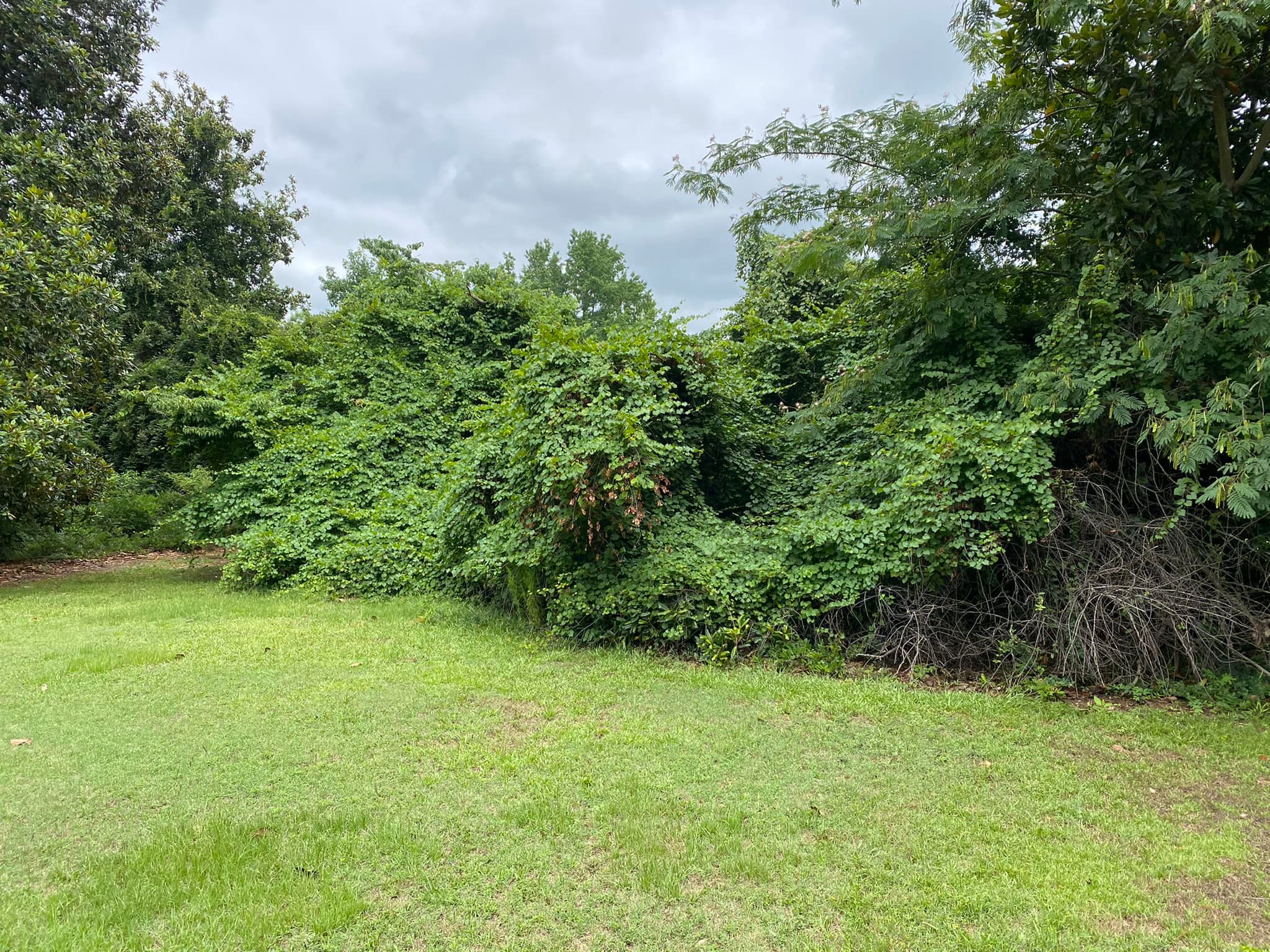  for Donnie's Tree Services in Wilson, NC