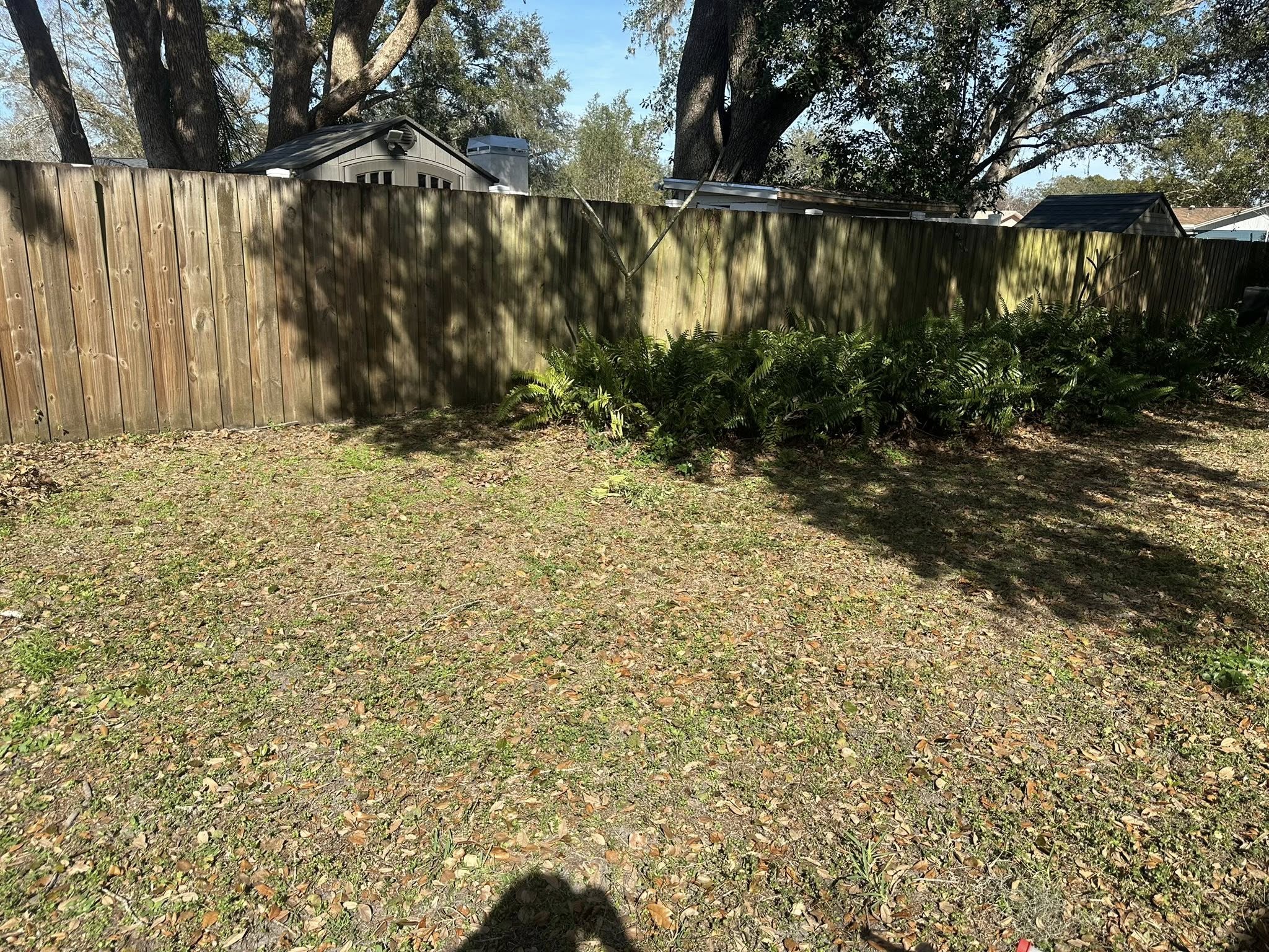  for The Yardman in Tampa, FL