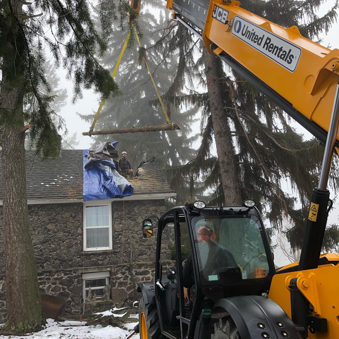  for AP Tree Service in Colbert, WA