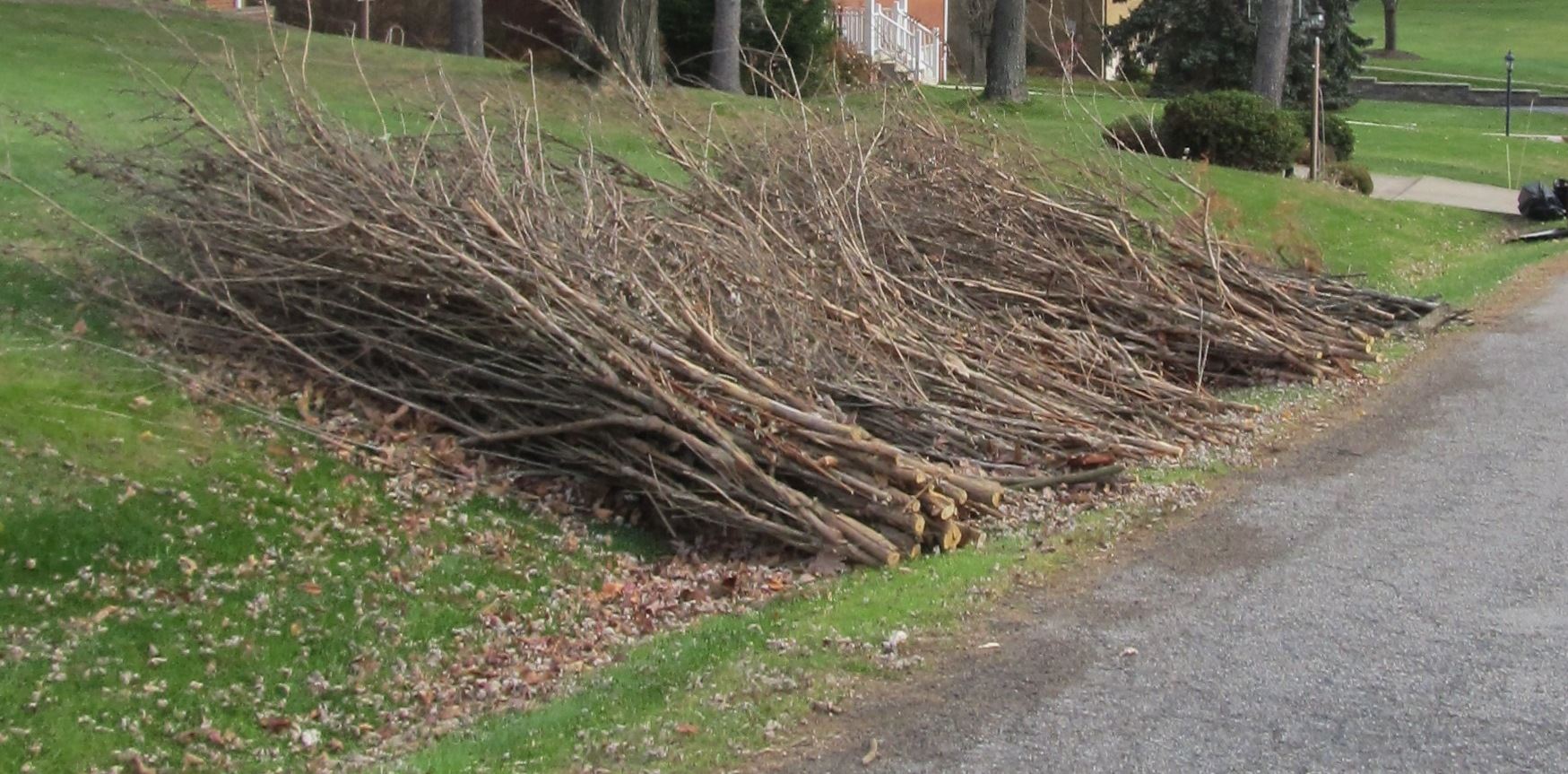  for Thrashers Utilities Services in Sultan, WA