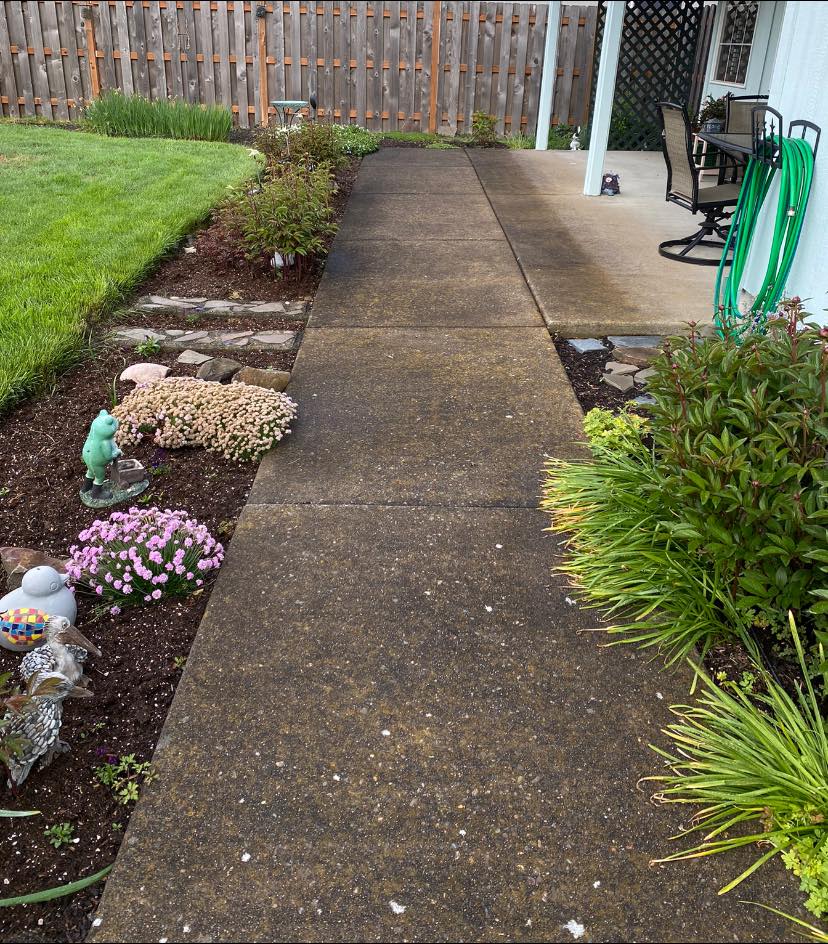 for Willamette Landscaping and Tree Services in Albany, OR