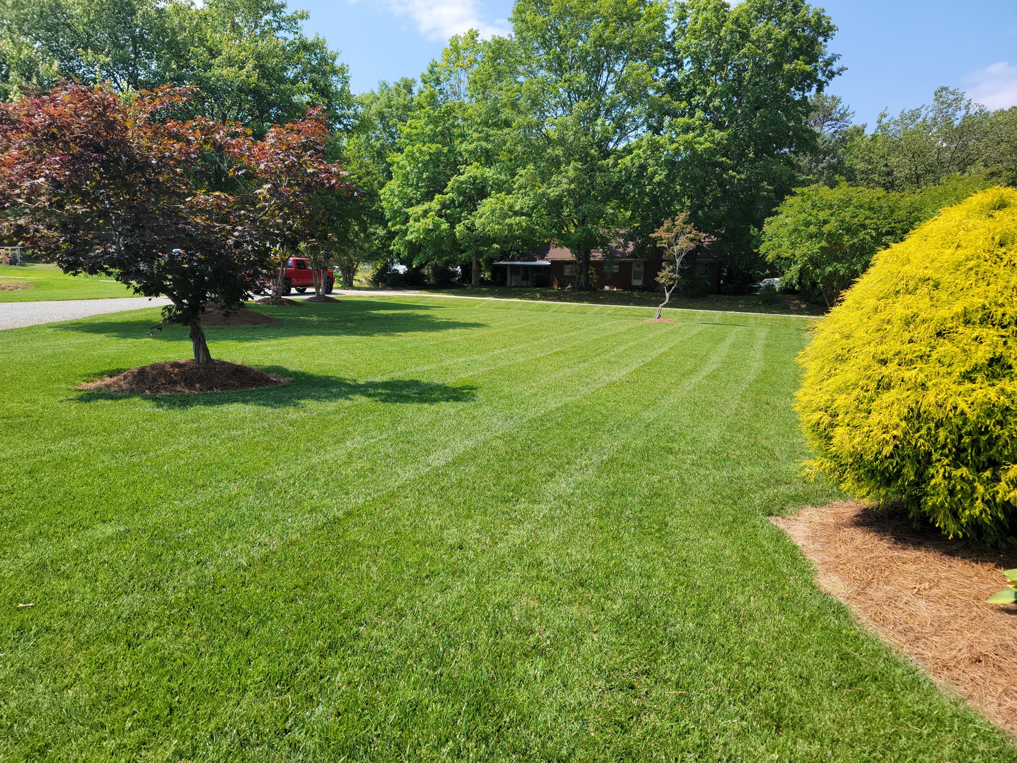 Lawn Care in Lexington, NC Piedmont Lawn and Landscaping